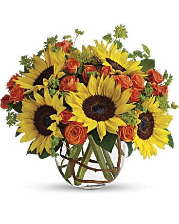 Sunny Sunflowers Sunny Sunflowers - Brighten up a table, send get well wishes, or simply sprinkle sunshine on someone's day with this summer flower arrangement. Bold sunflowers are arranged in a glass bubble bowl with curly willow curled inside. Sunflowers steal the show in this simple arrangement. Also featured: green bupleurum, salal leaves and a curly willow inside the glass bubble bowl. Orientation: All-Around