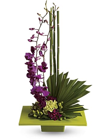 Zen Artistry Zen Artistry - Artistry, indeed. Looking more like modern sculpture than a floral arrangement, this striking bouquet surprises with delicate purple orchids, mini bamboo and a colorful mix of blooms - sure to improve any room's feng shui. A kiwi-colored square dish presents an arrangement of purple dendrobium orchids, green carnations, dark pink Sweet William, green hypericum, an emerald palm leaf, bamboo-like equisetum, galax leaves and sheet moss. Orientation: One-Sided
