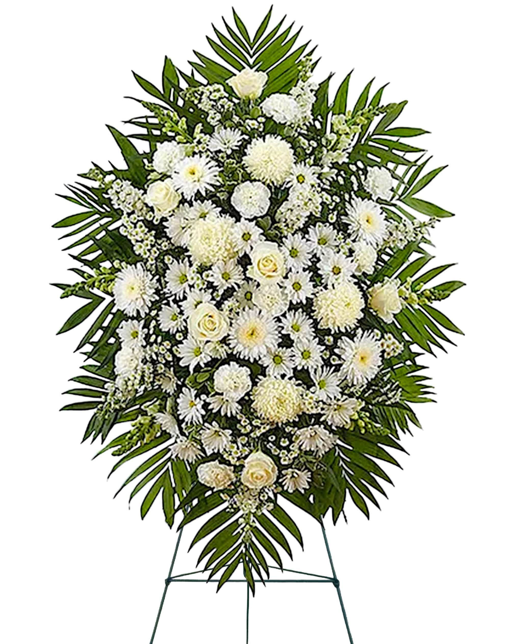 White Funeral Standing Spray - White flowers have a peacefulness &amp; purity to them, bringing hope &amp; light during a time of loss. Let it be a grand &amp; memorable tribute to one who was loved so dearly.  DETAILS All-white standing spray arrangement with roses, football mums, cremones, stock, snapdragons, carnations, daisy poms, monte casino &amp; greenery. Appropriate for the funeral home, memorial service, or gravesite.  EASEL INCLUDED Orientation: One-Sided *If you would like to add a ribbon with a sentiment for an additional $10 each. Item #NF-1021  FLORIST-TO-DOOR Same day flower delivery on most orders placed online by 12 pm or 10 am on weekends PST.  BLOOM DETAILS Roses Football-Mums Cremones Snapdragons Daisy-Mums Stock Carnations Monte-Casino Filler Greenery  The Standard Arrangement is approx. 42&quot;H x 30&quot;L without stand The Deluxe Arrangement is approx. 46&quot;H x 34&quot;L without stand The Premium Arrangement is approx. 56&quot;H x 38&quot;L without stand  INSTRUCTIONS: 1.) Please have the business name of the funeral home, address &amp; phone number. 2.) Please have the first name &amp; last name of the deceased. 3.) Please have the start time of the services. 4.) If you would like for us to write a brief message on a small business card-size note, please have your message ready.  NINFA'S FLOWERS 2405 WHITTIER BLVD. LOS ANGELES, CA. 90023