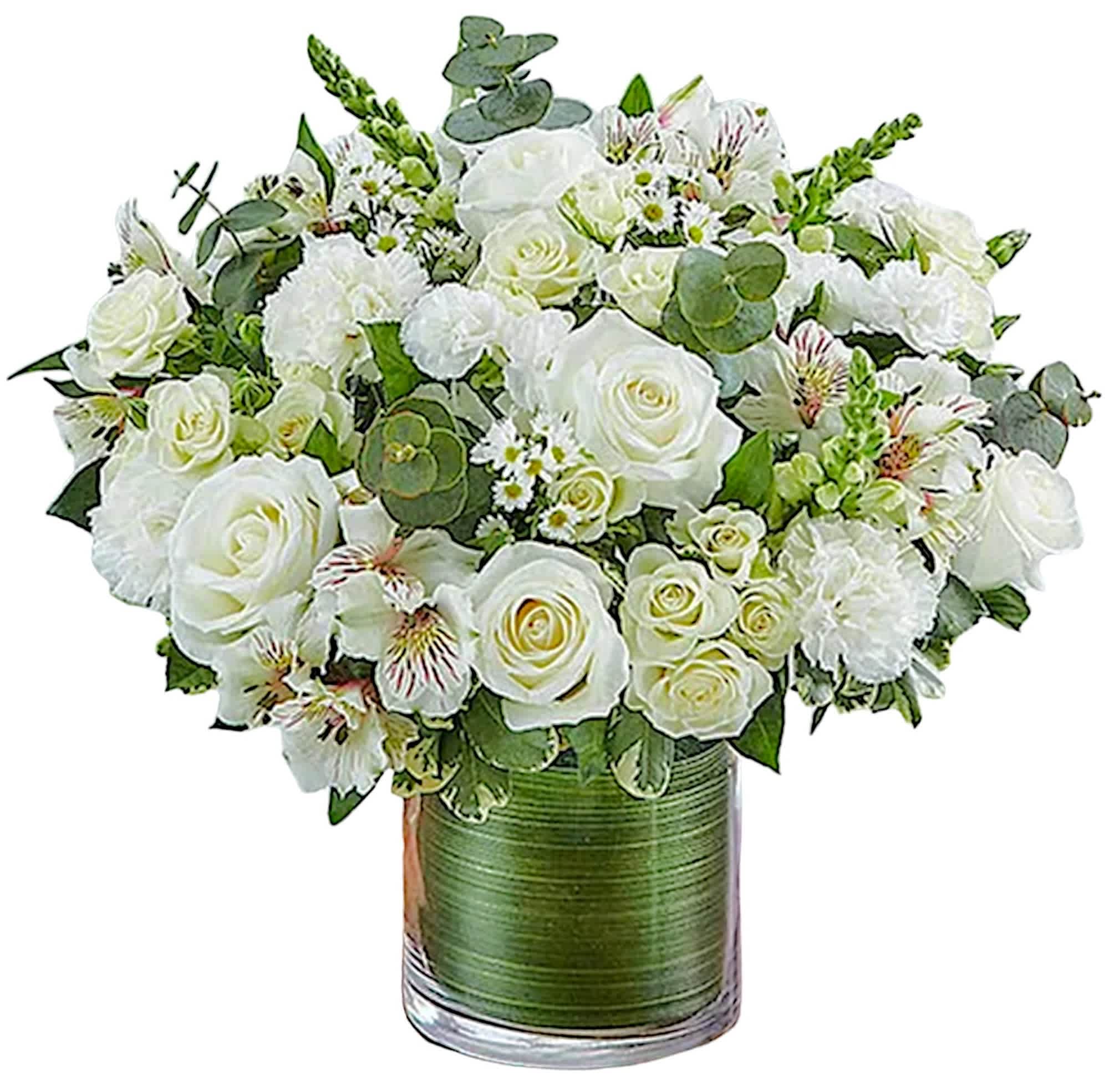 Cherished Memories - White - Memories are timeless treasures of the heart, meant to be cherished. Our all-white arrangement is elegantly designed in a cylinder vase, it's a touching tribute to a life well lived &amp; the memories that will be held dear forever. A lovely gift for the service or for the home of family members or friends. Also appropriate for a table centerpiece for a reception.  DETAILS White roses, spray roses, snapdragons, alstroemeria, carnations, mini carnations, monte casino, &amp; greenery.   VASE INCLUDED Orientation: All-Around Item #NF-1132  FLORIST-TO-DOOR Same day flower delivery on most orders placed online by 12 pm or 10 am on weekends PST.  BLOOM DETAILS Roses Snapdragons Spray Roses Carnations Mini-Carnations Alstroemerias Montecasino Spray Greenery  The Standard Arrangement is approx. 14&quot;H X 15&quot;L. The Deluxe Arrangement is approx. 15&quot;H x 16&quot;L. The Premium Arrangement is approx. 14&quot;H X 15&quot;L.  NINFA'S FLOWERS 2405 WHITTIER BLVD. LOS ANGELES, CA. 90023  ATTENTION: *Please note that on busy holidays, Valentine's Day, and Mother's Day, we cannot verify if the recipient received the flowers until the following day. You can verify delivery on the website after 10:00 pm, call 323.262.9238 the following day after 10:00 am, or contact the recipient directly. Thank you for your patience and understanding.