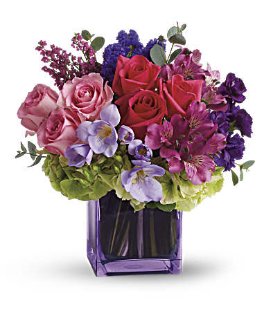 Exquisite Beauty by Teleflora Exquisite Beauty by Teleflora - This exquisite mix of feminine blooms is like a breath of fresh air! Sweet pinks and purples are contrasted with a modern burst of fresh green hydrangea, and finished off with a pretty lavender cube vase lined with a tropical aspidistra leaf. It's a fun pick-me-up to send anytime, anywhere! A wide variety of blooms - roses, alstroemeria, hydrangea, stock, freesia, statice and heather. Presented in Teleflora's lavender glass cube lined with aspidistra. Orientation: All-Around