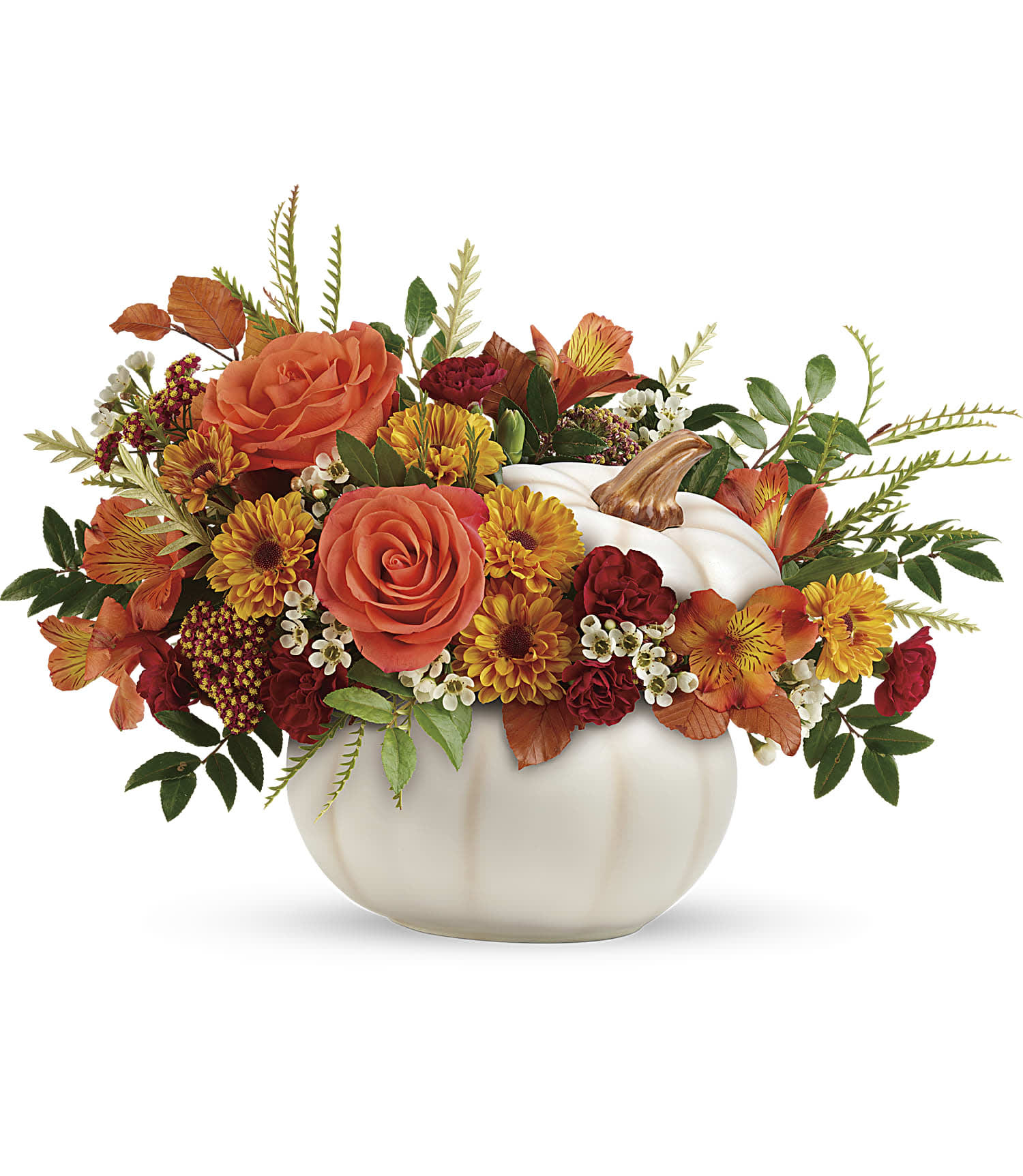 Teleflora's Enchanted Harvest Bouquet - Bursting from an enchanting white ceramic pumpkin, this fabulous fall mix of roses and mums is a magical addition to your autumnal gatherings!  Orange roses, orange alstroemeria, miniature maroon carnations, and yellow viking daisy spray chrysanthemums are accented with white waxflower, red cottage yarrow, huckleberry, grevillea, brown copper beech, and yellow preserved oak leaves. Delivered in an Enchanted Harvest Pumpkin. Approximately 17&quot; W x 12 1/2&quot; H