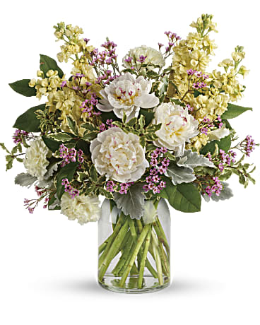 Serene Spring Peony Bouquet Serene Spring Peony Bouquet - Chic and serene, this dreamy bouquet of wondrous white peonies and creamy blooms in a milk jug vase sends your very best wishes for a stylish spring! This serene arrangement features white peonies, light yellow carnations, light yellow stock, lavender waxflower, dusty miller, pitta negra, and lemon leaf. Delivered in a clear glass milk jug vase. Orientation: All-Around