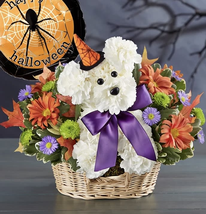 Halloween puppy Halloween puppy - An arrangement to celebrate Halloween and surprise that special person I. You life.