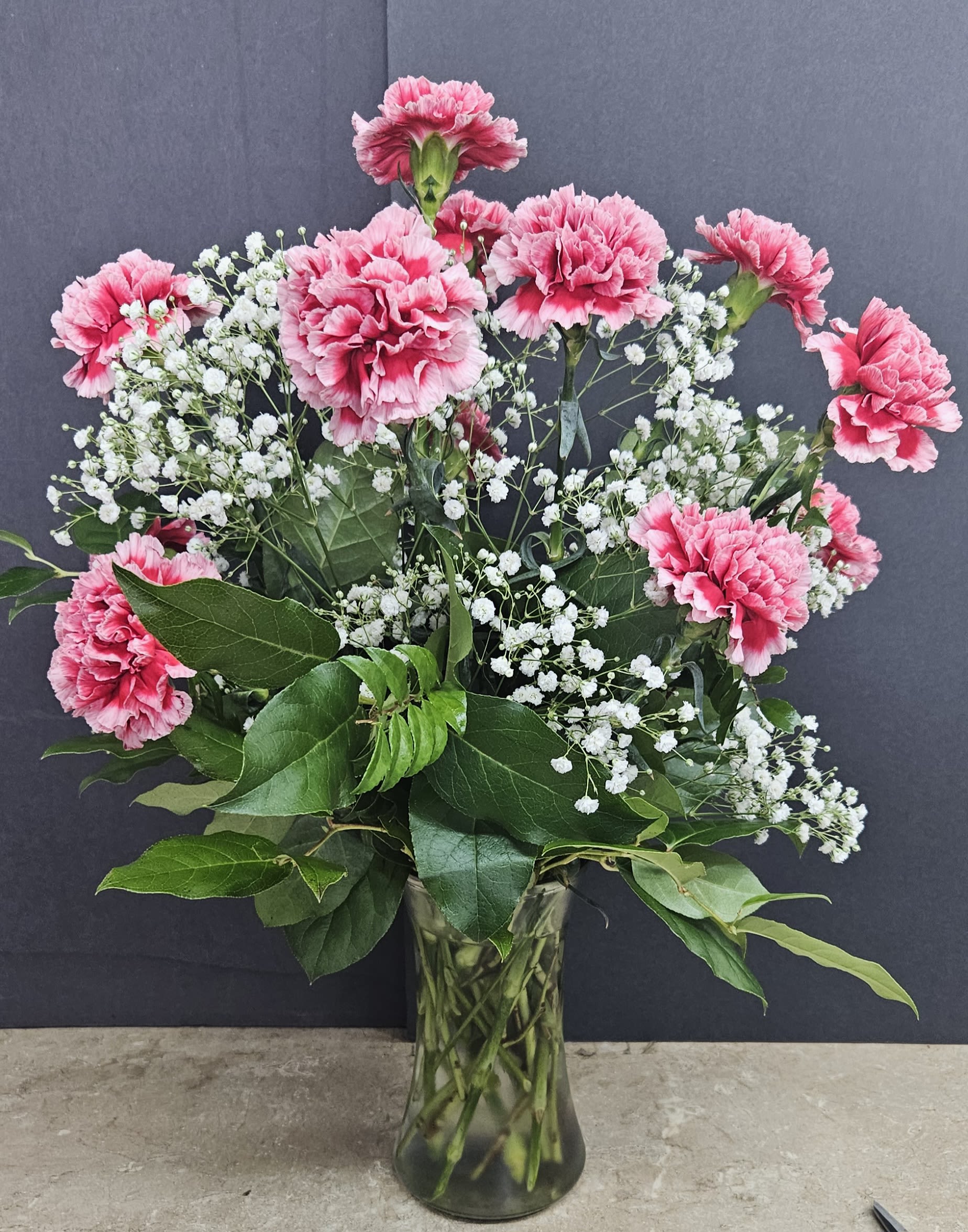 Dozen Carnations (12) - Beautiful Carnations with Baby's Breath