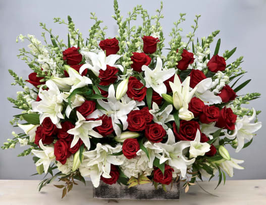 Star Gazers Love - Perfect for any occasion. This arrangement will stand out in any room. 