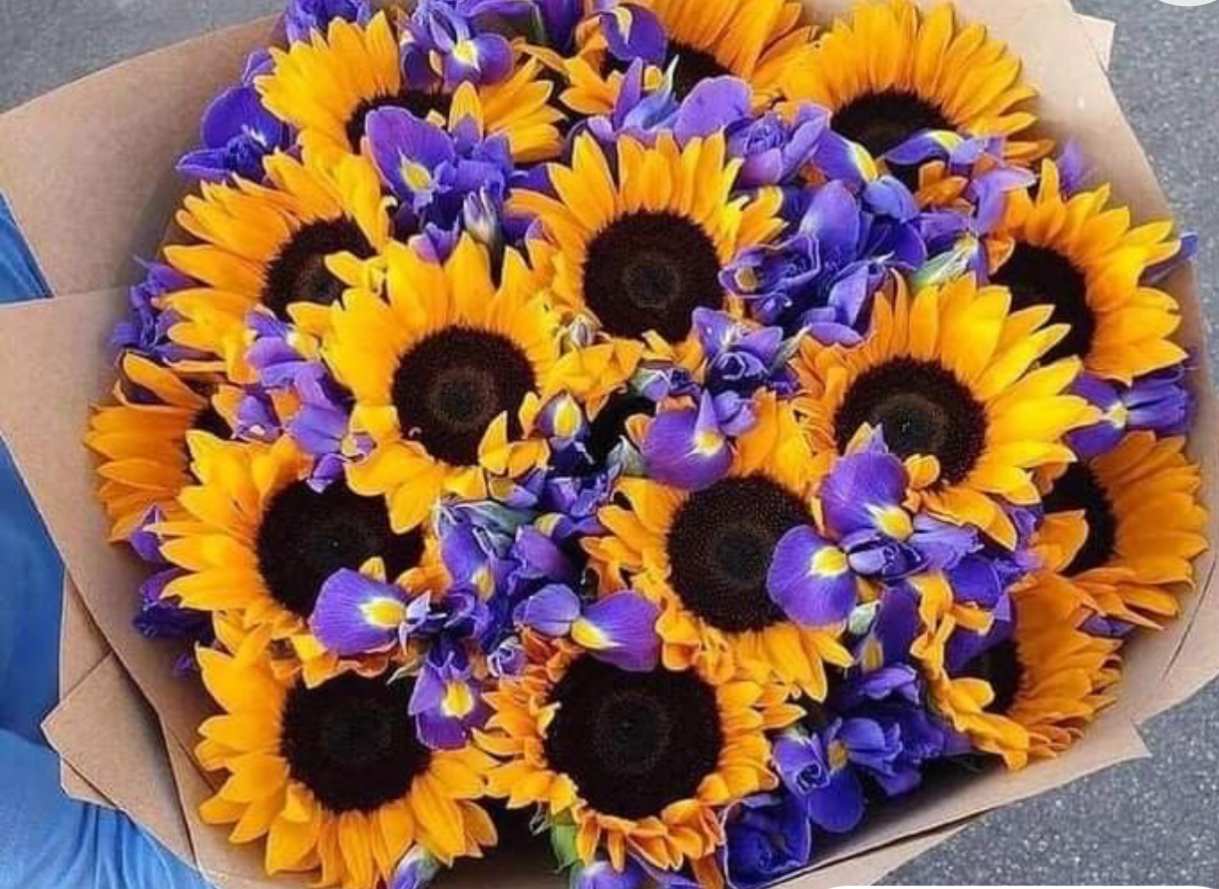 yellow blue lust yellow blue lust - sun flowers and blue delfin