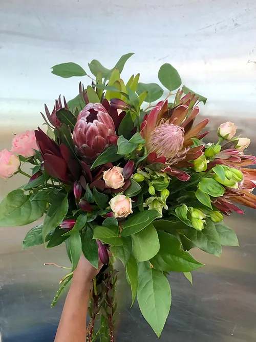Custom Bouquet - Deep Devotion - Select this outstanding floral bouquet in deep reds and purples. Each hand-tied bouquet or custom arrangement is assembled with only the finest mix of fresh local and imported blooms. We ensure your bouquet is exquisite - no matter what size.     Choose to have your flowers delivered or picked up. Flower orders placed before midnight are delivered next day. For future pickup date, simply write a note with your desired date in the order. For same-day orders, placed after 8:00AM, please call our store, 647-350-8076 to ensure your order can be processed.     This bouquet is available in the following sizes:  Small $100  Medium $120  Large $155  Extra-Large $200     It can be purchased as a hand-tied bouquet or upgraded by adding our beautiful Destiny Urn:  Small $25  Medium $40  Large $65  X-Large $90     Note: Due to seasonal availability and varying size options, your bouquet may appear differently than photographed. For your reference, the bouquet pictured here is Large.
