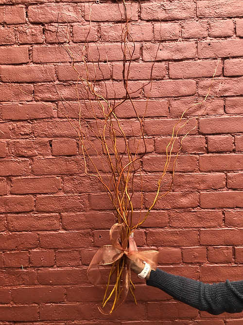 Curly Willow - Don't forget to consider one of our Artisan Cards to add to your order.  Each card is designed by a local artist and is available in these varieties. Store Cards are also available.  All orders are automatically scheduled for next day delivery to arrive between 1:00- 5:30 unless you request otherwise in your notes.  We will always do our best to accommodate special requests, but it is best to call and follow up, particularly for last-minute orders.   Delivery fees are calculated based on postal code.  For more details on rates please view our Shipping page.  ​  Happy Hour delivery applies to our Instagram Special only. All rules around those deliveries are outlined in each HAPPY HOUR post. If a recipient is not home to receive their delivery, and we are unable to contact you, they will be returned for an additional fee. They must then be picked up by the recipient or sent out with our regular next-day delivery for an additional fee.  ​  Happy Hour deliveries are free within Cabbagetown within 1/km walking distance. All other Happy Hour orders are $1/km by increments of $5 per km.