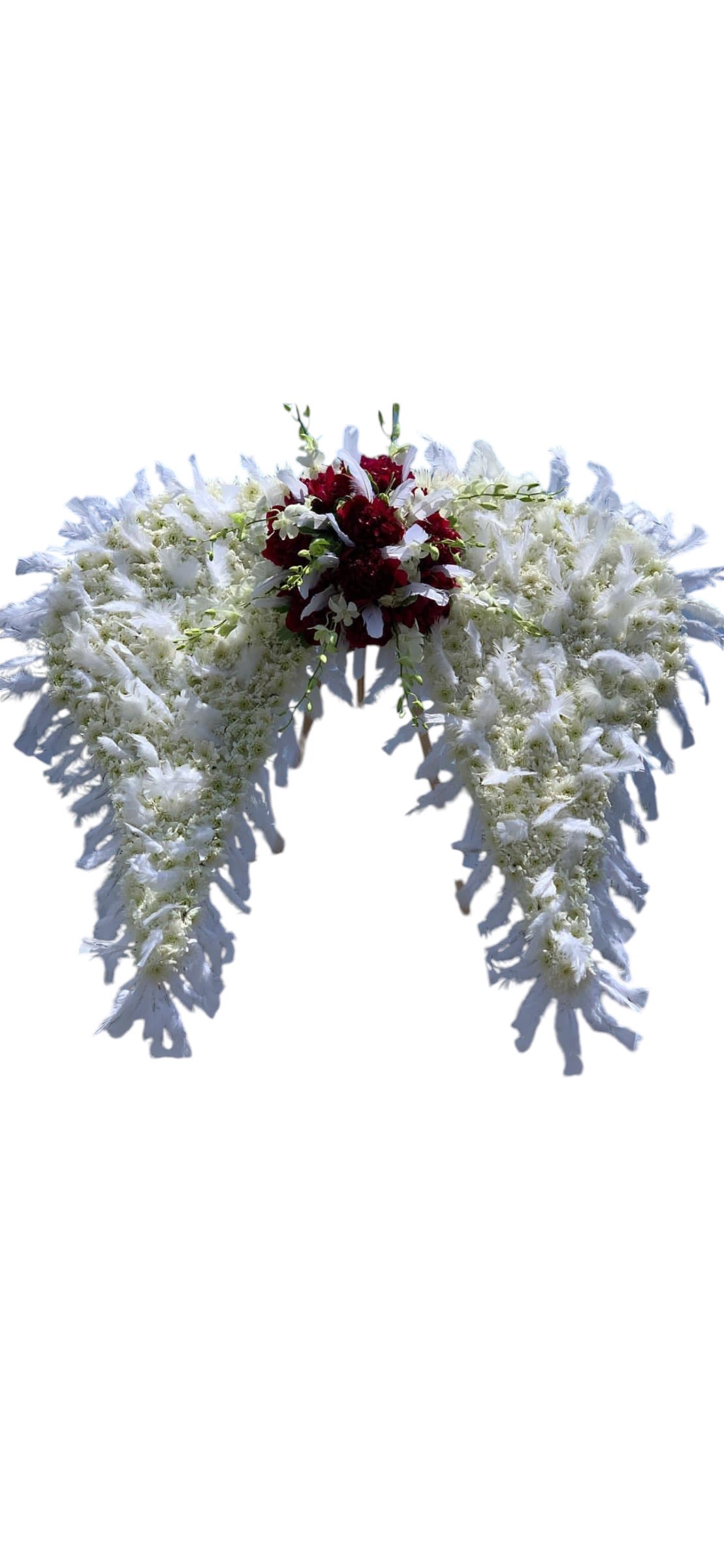 Feathered Angel Wings Feathered Angel Wings - XXL Feathered Angel wings