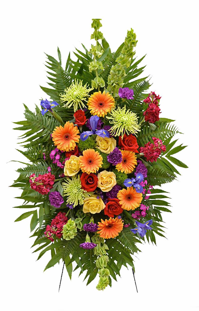 Mixed Standing Spray Mixed Standing Spray - Mixed standing spray made with Gerbera Daisies, Roses, Stock, Iris, Fuji mums and Bells of Ireland.