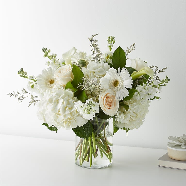 Vanilla Blossom Arrangment - VANILLA BLOSSOM ARRANGMENT  There's nothing plain about this beautiful bouquet. Filled with white roses, hydrangeas, gerbera daisies, and many more. This classic arrangement is the epitome of taste.  Please Note: The bouquet pictured reflects our original design for this product. While we always try to follow the color palette, we may replace stems to deliver the freshest bouquet possible, and we may sometimes need to use a different vase.   For long–lasting blooms, replace the water daily. We suggest trimming the stems every couple days. Pet Safety Precautions: This bouquet or plant may include flowers and foliage that are known to be toxic to pets. To keep them safe, be sure to keep this arrangement out of your pet's reach.  BLOOM DETAILS Gerbera Daisy Hydrangea Stock Rose