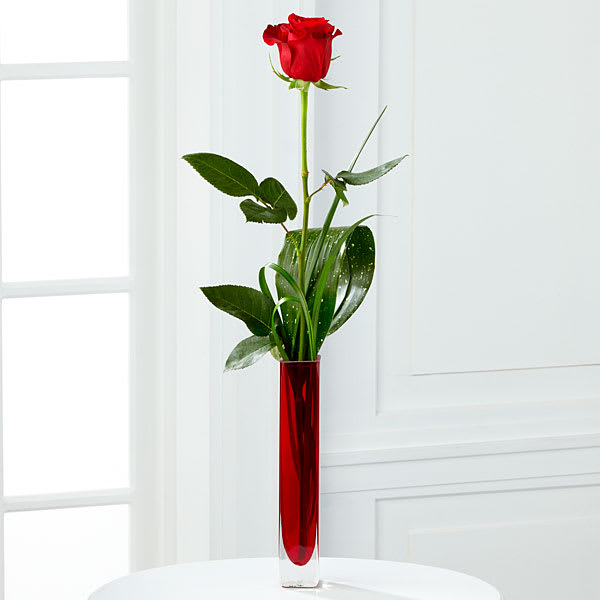 The FTD Deeply Devoted Bouquet The FTD Deeply Devoted Bouquet - The FTD® Deeply Devoted™ Bouquet bursts with elegant simplicity and divine beauty. A single red rose flaunts its vibrant crimson petals offset by lily grass blades and aspidistra leaf arranged in a square red glass bud vase capturing your most romantic sentiments and offering a message of endless love. 23"H
