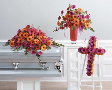 A Gerbera Daisy Package - A Gerbera Daisy Package is a vibrant and cheerful floral arrangement designed to adorn the casket during a funeral service or memorial. Gerbera daisies are known for their large, colorful blooms and symbolize innocence, purity, and beauty. The casket spray typically consists of a bed of lush greenery adorned with an array of Gerbera daisies in various colors. The bright and bold hues of the daisies bring a sense of joy and celebration, making it a thoughtful choice to honor the life of the departed. If you are considering a Gerbera Daisy Casket Spray, you can work with a florist to customize the colors and arrangement to suit the preferences and personality of your loved one. It's a meaningful way to pay tribute and bring a touch of natural beauty to the funeral proceedings.  COLORS CAN BE CHANGED