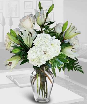 Cool Whites Cool Whites - Beautiful vase of all white hydrangea, roses, and lilies. Substitutions of equal or greater value may be made depending on season and availability of product or container.