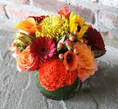 Shine Coxcomb - Includes coxcomb, pincushion protea, calla lilies, sunflowers, and gerbera daisies in glass vase. 