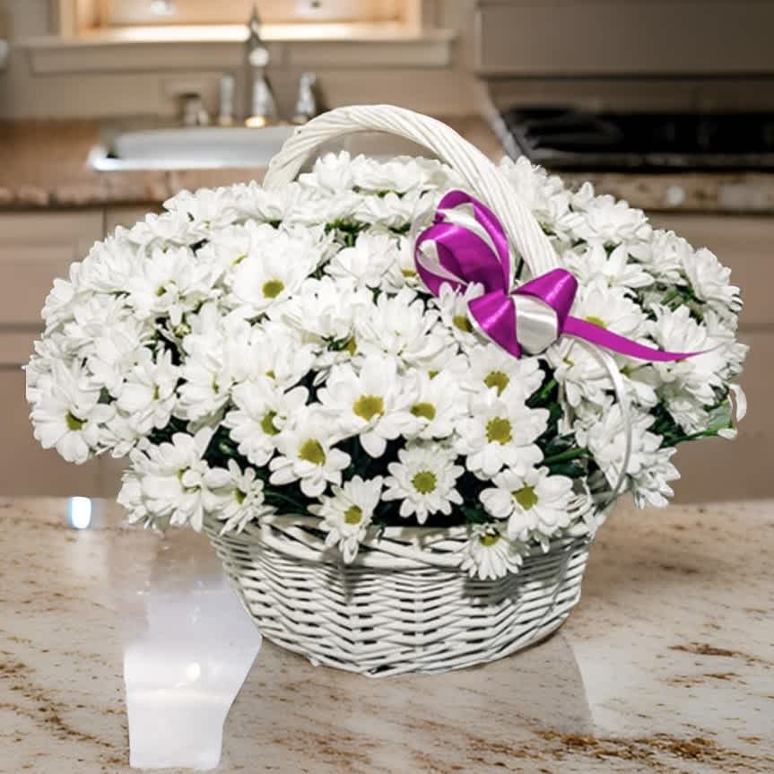 Pure Elegance - The &quot;Pure Elegance&quot; bouquet of white chrysanthemums is the epitome of purity and sophistication. These snow-white flowers, symbolizing innocence and sincere emotions, create an atmosphere of tranquility and grace. The lush and delicate petals of the chrysanthemums form a harmonious ensemble, highlighting refinement and elegance.