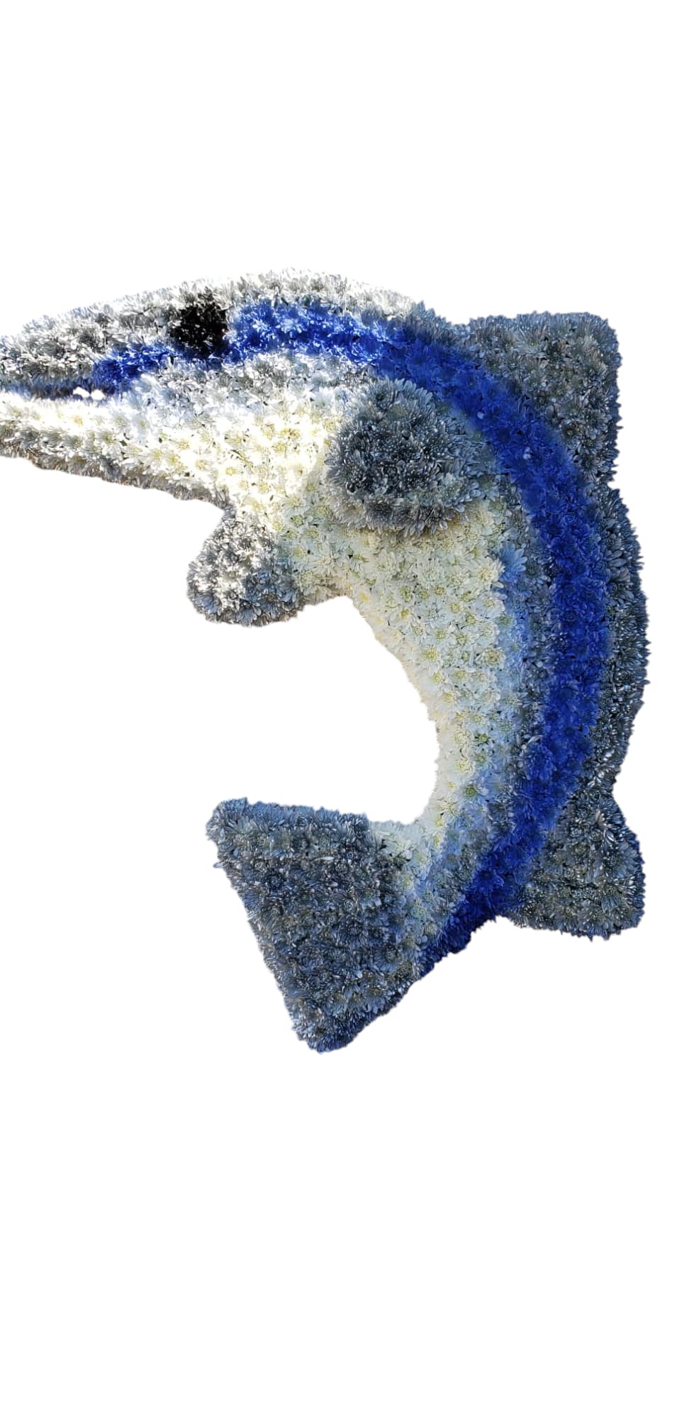 FSH BLUE WHITE SILVER FSH BLUE WHITE SILVER - A large fish made carnations and cushion mums and accented with a blue ribbon is the perfect tribute for a loved one. Easel and shamrock total height and width is about 66" tall, 24" wide. Custom pieces take about 5 hours to create. In order to create beautiful pieces like this, please allow at least 24 hrs. for ordering.