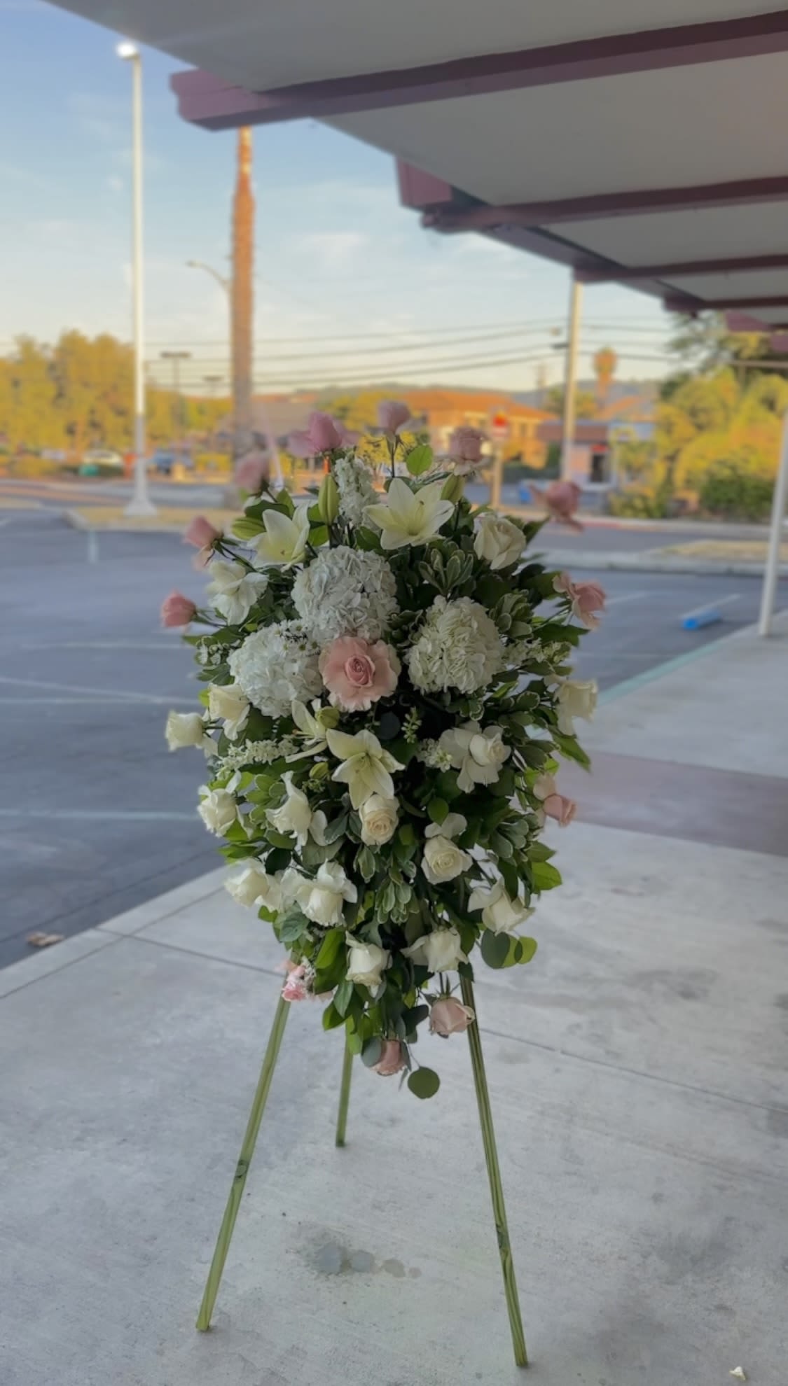 tropical funeral tropical funeral - The warmth and kindness they showed will live on forever, and sometimes this sentiment is best captured through flowers. Our impressive standing spray arrangement, meticulously handcrafted by expert local florists with soothing blooms for a lush, full presentation, creates a truly memorable tribute.