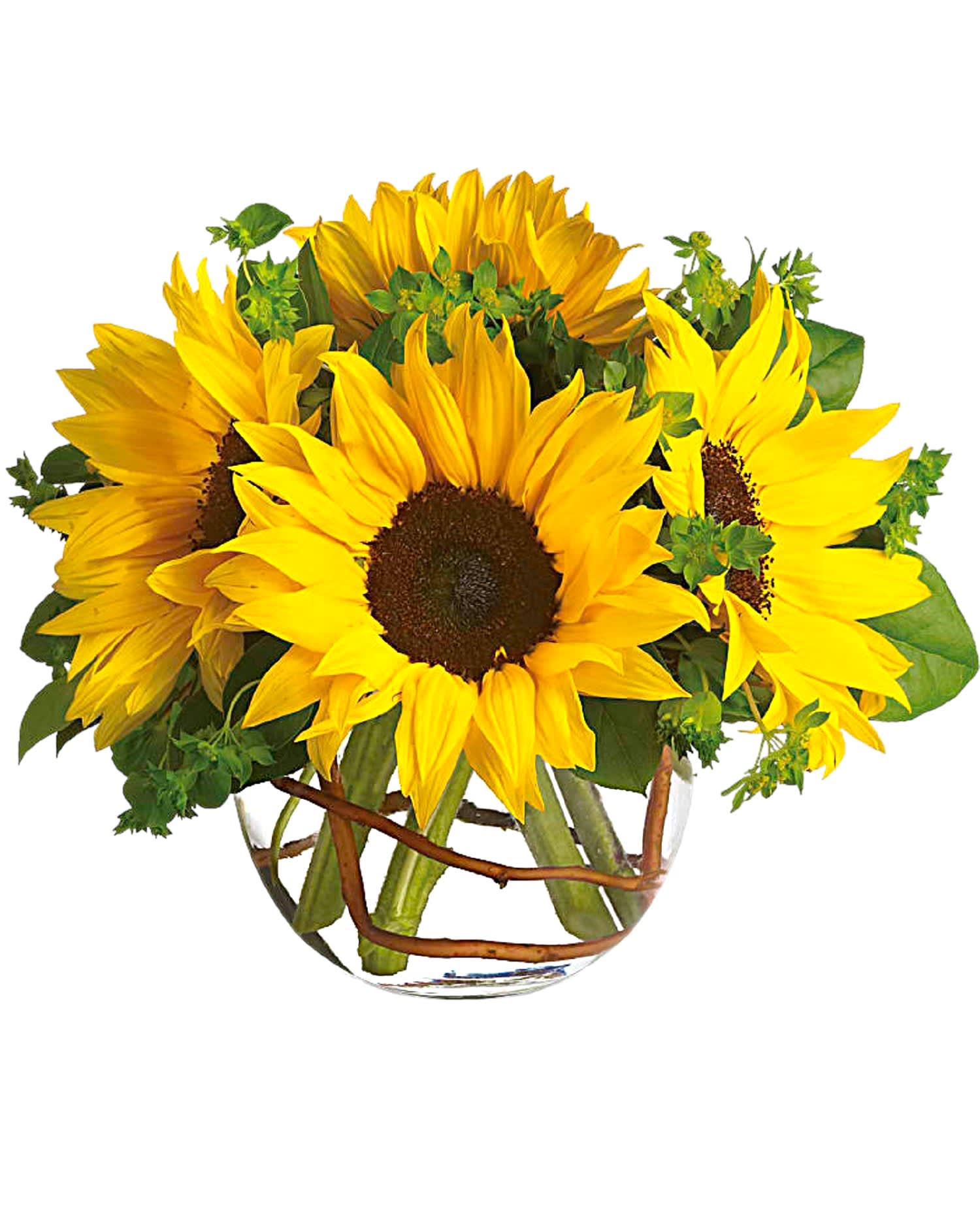 Sunny Sunflowers - Brighten up a table, send get-well wishes, or simply sprinkle sunshine on someone's day with this summer flower arrangement. Bold sunflowers are arranged in a bubble bowl with curly willow curled inside.  DETAILS Sunflowers steal the show in this simple arrangement. Also featured: green bupleurum, salal leaves, and a curly willow inside the glass bubble bowl.  VASE INCLUDED Orientation: All-Around Item #NF-119  FLORIST-TO-DOOR Same day flower delivery on most orders placed online by 12 pm or 10 am on weekends PST.  BLOOM DETAILS Sunflowers Spray Roses (not included in the Standard) Bupleurum Curly Willow Greenery  The Standard Arrangement is approximately 10&quot; H x 12&quot; W. (Does not include Spray-Roses) The Deluxe Arrangement is approximately 11&quot; H 12 1/2&quot; W. The Premium Arrangement is approximately 12&quot; H x 13&quot; W.  How to place an order? 1. You can place an order directly on this secure website OR 2. You can call in your order by dialing: (323) 262 - 9238 OR 3. You can visit our store (appointment recommended 323.262.9238)  NINFA'S FLOWERS 2405 WHITTIER BLVD. LOS ANGELES, CA. 90023  ATTENTION: *Please note that on busy holidays, Valentine's Day, and Mother's Day, we cannot verify if the recipient received the flowers until the following day. You can verify delivery on the website after 10:00 pm, call 323.262.9238 the following day after 10:00 am, or contact the recipient directly. Thank you for your patience and understanding.