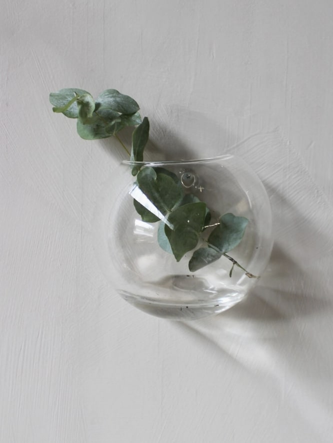 Ramsåsa Small Glass Vase - Wall-mounted clear glass vase. Use Ramsåsa to add a touch of green to your walls! Group them on the wall in a variety of sizes. Then, bring nature indoors by decorating them with flowers, leaves and branches.