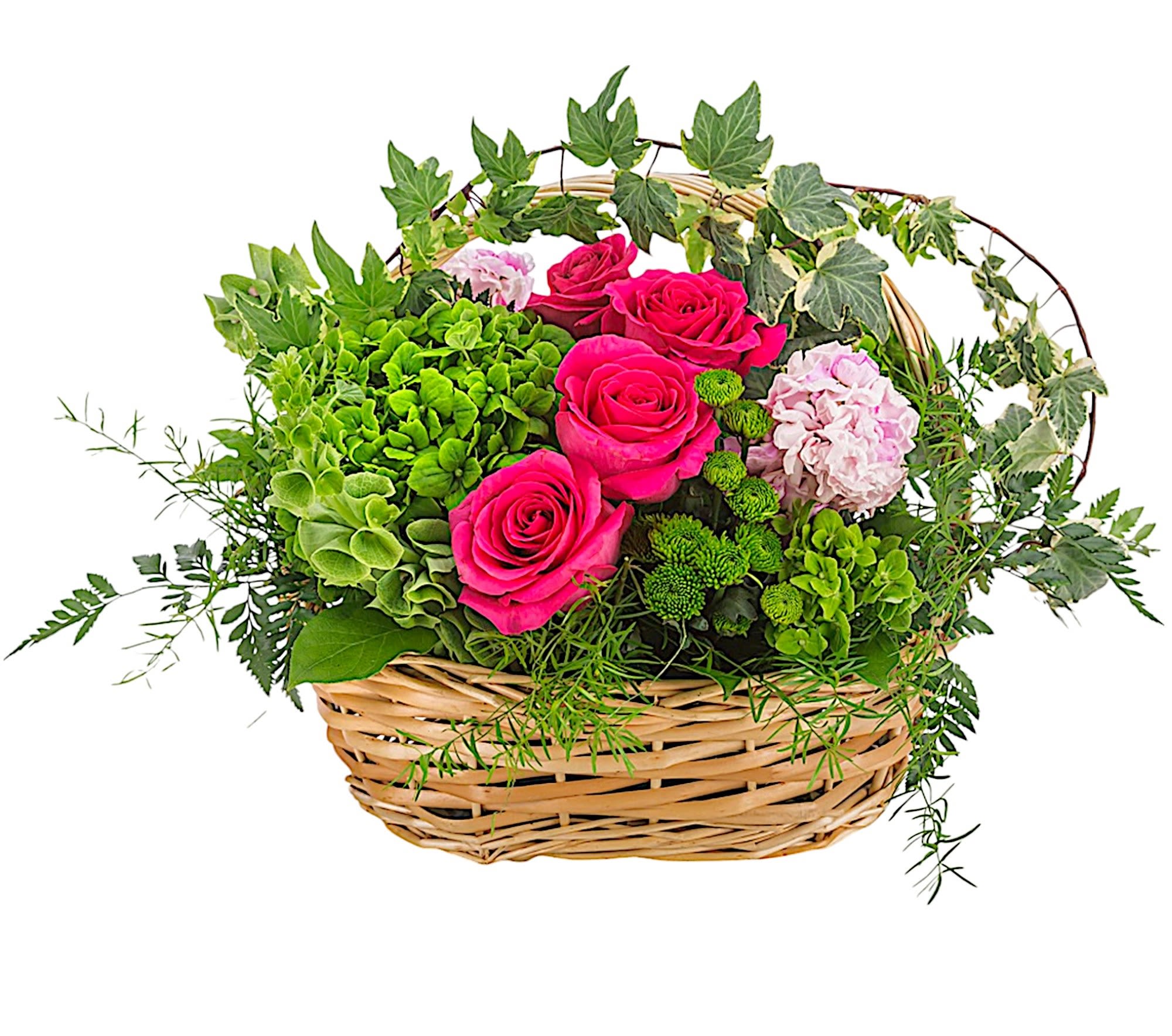 After the Rain by BloomNation™ - A green basket with a pop of hot pink roses, this arrangement can only be described as refreshing. Send it to say thank you and to show your appreciation!  DETAILS Beautiful fuchsia roses, blush pink stock, green hydrangeas, green button mums, and assorted greenery creates a garden style basket arrangement.   BASKET INCLUDED Orientation: One-Sided Item #NF-999  FLORIST-TO-DOOR Same day flower delivery on most orders placed online by 12 pm or 10 am on weekends PST.  BLOOM DETAILS Roses Stock Hydrangeas Button Mums Greenery  The Standard Arrangement is approx. 15&quot; D x 12&quot; H. (SHOWN) The Deluxe Arrangement is approx. 15&quot; D x 12&quot; H. The Premium Arrangement is approx. 15&quot; D x 12&quot; H.  How to place an order?  1. You can place an order directly on this secure website. OR 2. You can call in your order by dialing: (323) 262 - 9238 OR 3. You can visit our store (appointment recommended 323.262.9238)  NINFA'S FLOWERS 2405 WHITTIER BLVD. LOS ANGELES, CA. 90023  ATTENTION: *Please note that on busy holidays, Valentine's Day, and Mother's Day, we cannot verify if the recipient received the flowers until the following day. You can verify delivery on the website after 10:00 pm, call 323.262.9238 the following day after 10:00 am, or contact the recipient directly. Thank you for your patience and understanding.