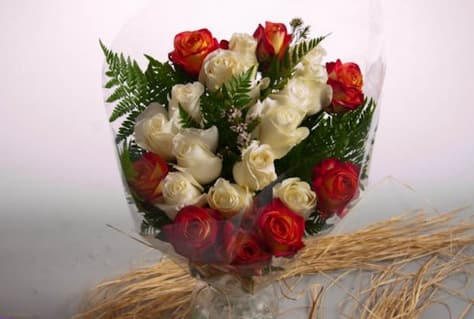 Natural Colors of Autumn Natural Colors of Autumn - STANDARD DOES NOT INCLUDE VASE, BOUQUET ONLY The Fall is near and what better gift than Roses! Seasonal all year round to bring a smile to anyone's face! Perfect gift for your Loved ones, simple yet different, great gift for Birthdays, Anniversary, or Just Because! Standard includes 10 White (Vendella), 10 Orange (Sunset) Roses, mixed in with 1 Hypericum Berries, Baby's Breath, Lemon Leaves, & 2 Monster Leaves for Décor! Flowers are delivered arranged and wrapped in a gift wrapping paper. Roses may take 2-3 days to open up as shown in product photo. Upon arrival, remove flowers from wrap, trim ends of stems, and place them in a vase with water, and enjoy your beautiful bouquet