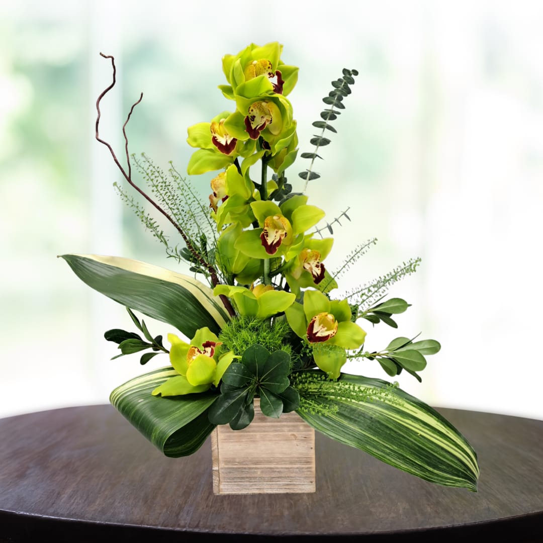 Green Orchid Cymbidium in a Square Wooden Box - One-Stemmed Orchid Cymbidium, Baby Eucalyptus, Aspidistra Leaves, and Curly Willow branches in a square wooden box.