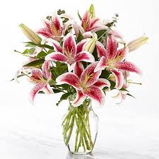 Up Among the Stars Lily Bouquet - Picked fresh from the farm, our Up Among the Stars Lily Bouquet is set to impress! Hand gathered from select floral farms, this bouquet brings together stems of Stargazer Lilies, known for their fuchsia petals outlined in white and amazing fragrance, with an assortment of lush greens. Picked fresh for you, this stunning flower bouquet is set to create an incredible birthday, thank you, or thinking of you gift. Bouquet includes: Stargazer Lilies, eucalyptus, and lush greens with a classic clear glass vase.
