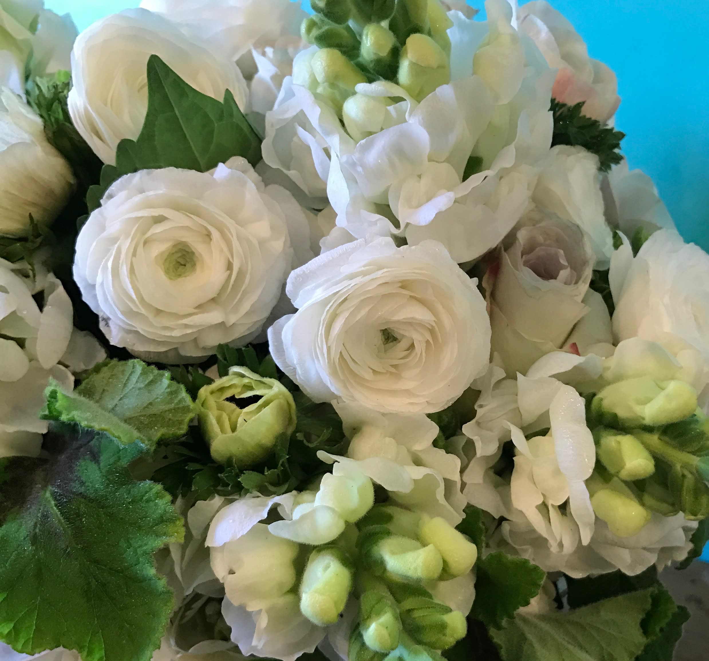 Tones of Whites and Green - Let The Plum Dahlia create the perfect custom gift in shades of white and green seasonal blooms. Choose your budget and the perfect seasonal blooms will come together just for you and your recipient.