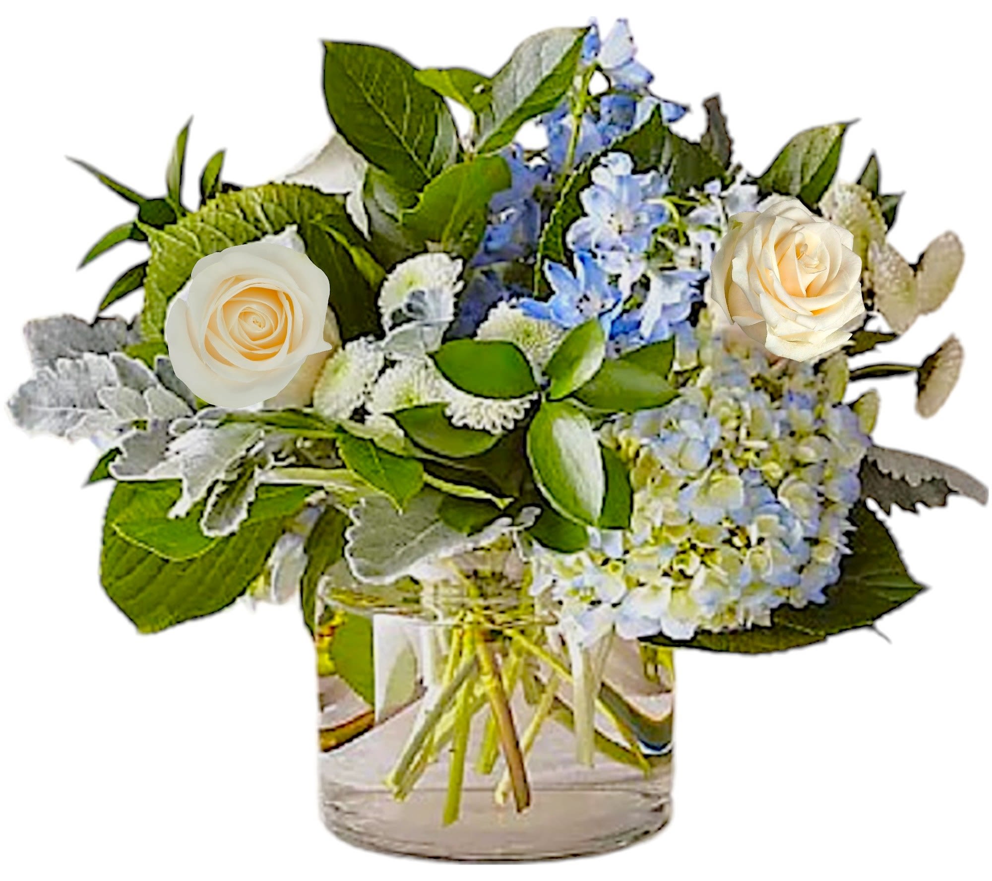 Clear Skies Vase Arrangement  - Let this uplifting arrangement be a reminder of the clear skies ahead. Capturing the feeling of hope that a new day brings. This arrangement is also appropriate for Father's Day, and anniversary, it's a boy flower arrangement, and other occasions.   DETAILS Blue hydrangeas and delphinium, white roses and button mums, and assorted greenery.   VASE INCLUDED Orientation: All-Around Item #NF-272  FLORIST-TO-DOOR Same day flower delivery on most orders placed online by 12 pm or 10 am on weekends PST.  BLOOM DETAILS Delphinium Hydrangea Roses Greenery  The Standard Arrangement is approx. 15&quot;H x 18&quot; W. The Deluxe Arrangement is approx. 16&quot;H x 20&quot; W. The Premium Arrangement is approx. 18&quot;H x 22&quot; W.  How to place an order? 1. You can place an order directly on this secure website OR 2. You can call in your order by dialing: (323) 262 - 9238 OR 3. You can visit our store (appointment recommended 323.262.9238)  NINFA'S FLOWERS 2405 WHITTIER BLVD. LOS ANGELES, CA. 90023  ATTENTION: *Please note that on busy holidays, Valentine's Day, and Mother's Day, we cannot verify if the recipient received the flowers until the following day. You can verify delivery on the website after 10:00 pm, call 323.262.9238 the following day after 10:00 am, or contact the recipient directly. Thank you for your patience and understanding.