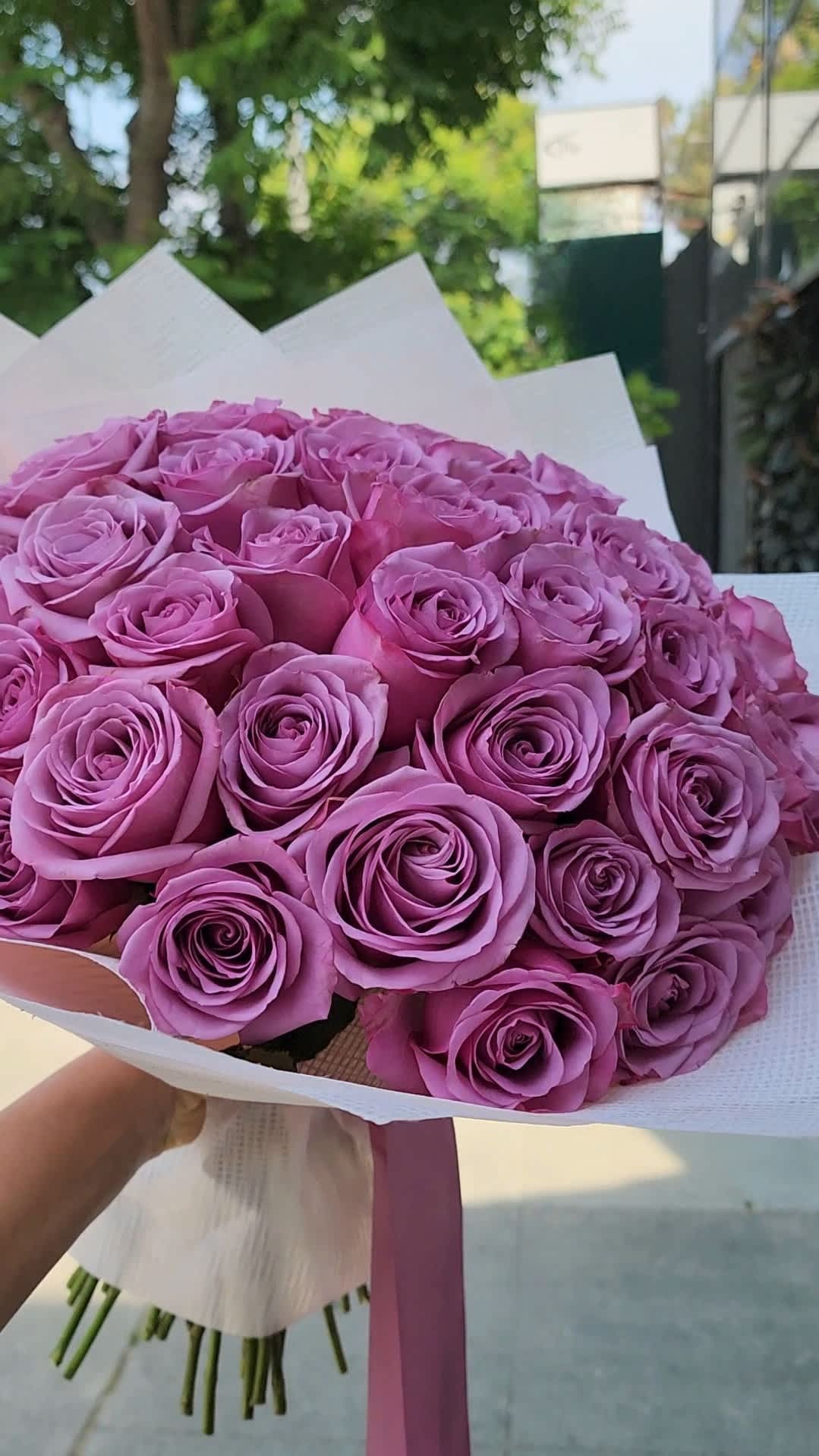 Purple Roses - Purple roses, with their enchanting hue, symbolize enchantment, mystery, and royalty, making them perfect for any occasion.for a birthday, anniversary, or just because, a bouquet of purple roses can convey admiration and a sense of wonder