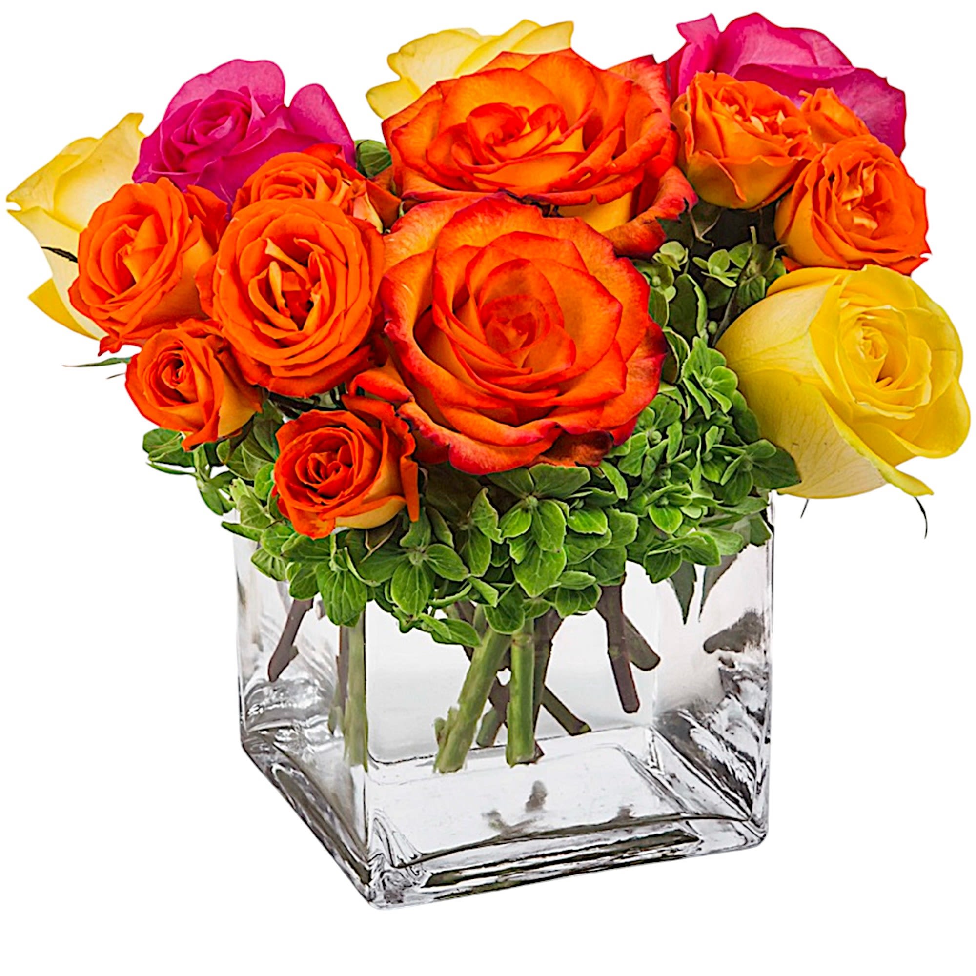 Bright Morning by BloomNation™ - This arrangement lights up any space and will improve anybody's day. A perfect gift for all occasions.   DETAILS Pink, yellow, and orange roses come together with green hydrangea for a bright cube of sunshine. FLORIST-TO-DOOR  VASE INCLUDED Orientation: All-Around Item #NF-947  FLORIST-TO-DOOR Same day flower delivery on most orders placed online by 12 pm or 10 am on weekends PST.  BLOOM DETAILS Roses Mini Spray Roses Hydrangeas  The Standard Arrangement is approx. 10&quot; W x 11&quot; H. (SHOWN) The Deluxe Arrangement is approx. 10.5&quot; W x 11.5&quot; H.  The Premium Arrangement is approx. 11&quot; W x 12&quot; H.   How to place an order?  1. You can place an order directly on this secure website. OR 2. You can call in your order by dialing: (323) 262 - 9238 OR 3. You can visit our store (appointment recommended 323.262.9238)  NINFA'S FLOWERS 2405 WHITTIER BLVD. LOS ANGELES, CA. 90023  ATTENTION: *Please note that on busy holidays, Valentine's Day, and Mother's Day, we cannot verify if the recipient received the flowers until the following day. You can verify delivery on the website after 10:00 pm, call 323.262.9238 the following day after 10:00 am, or contact the recipient directly. Thank you for your patience and understanding.