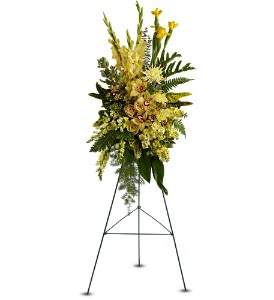 Sunshine Spray [TFWEB546] - A brilliant burst of blooms in glowing shades of yellow and bronze will bring warm thoughts of a sunny soul that's departed. This free-form standing spray, delivered on an easel, creates a bright display at any tribute or occasion of remembrance.  A standing spray of fresh yellow and bronze flowers such as Cymbidium orchids, iris, gladioli, snapdragons and stock – accented with greenery – is delivered on an easel.  Approximately 21&quot; (W) x 37&quot; (H) (Dimensions do not include easel.)  Orientation: One-Sided      As Shown : TFWEB546  