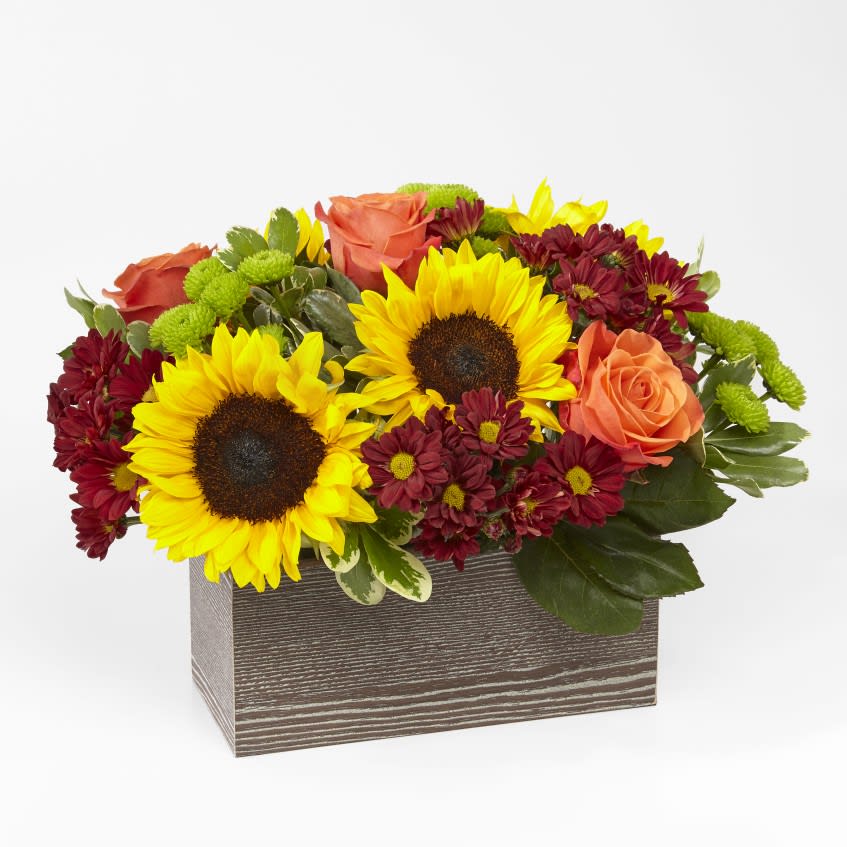 Happy Harvest Garden in San Antonio, TX Stone Oak Florist