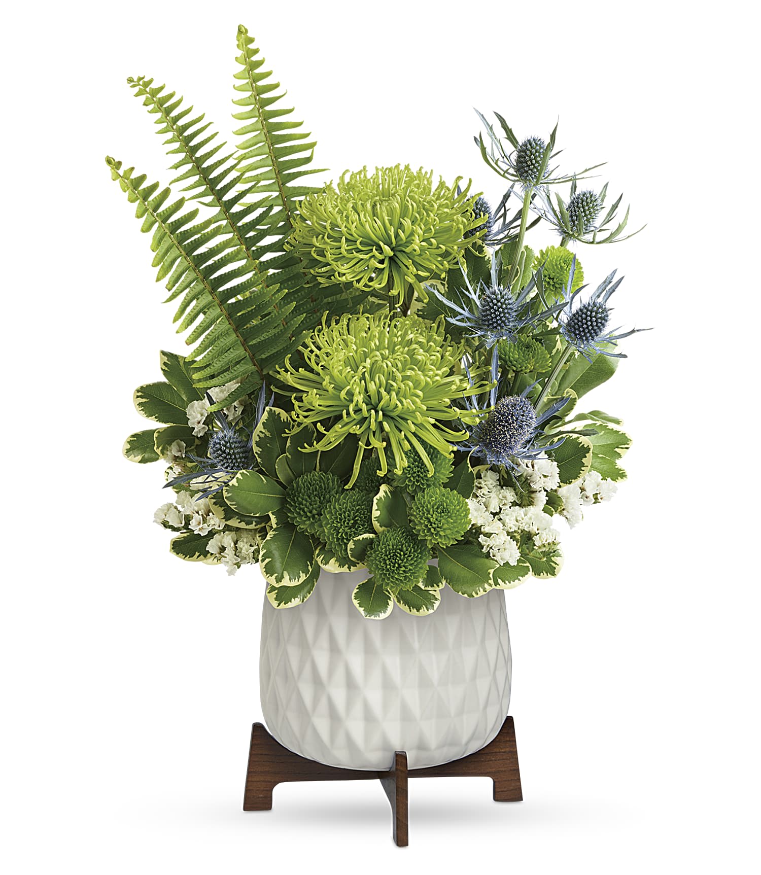 Teleflora's Style Statement Teleflora's Style Statement - Gorgeous green blooms and a mod, mid-century ceramic planter add up to a stunning style statement! Green spider chrysanthemums, green button spray chrysanthemums, white sinuata statice, and blue eryngium are arranged with sword fern and variegated pittosporum