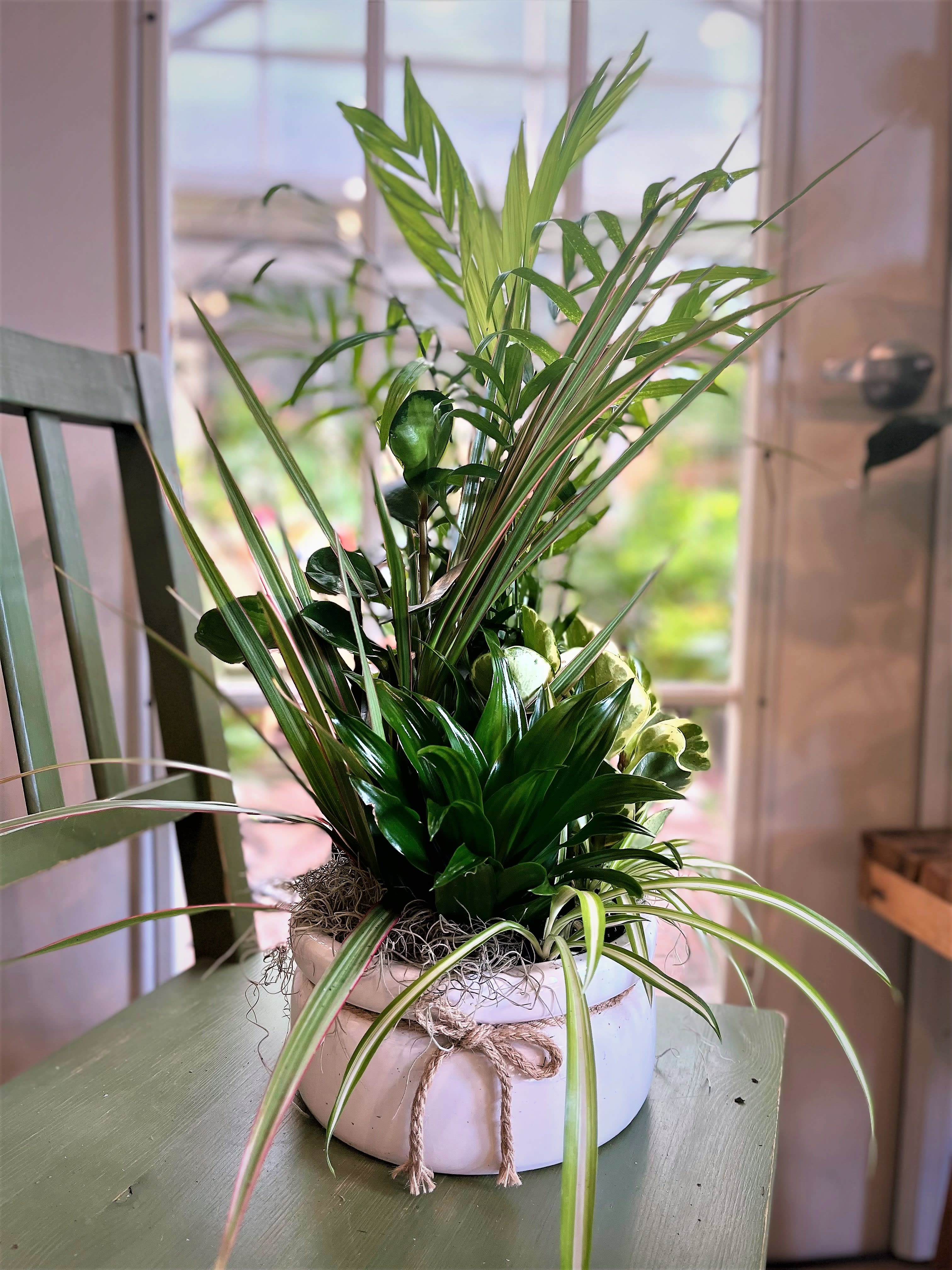 Planter Garden Planter Garden - Variety of easy to care for green house plants in an 8" ceramic decorative planter that is approximately 14" in height. Ceramic container color may vary. *Deluxe planter will include fresh flowers*