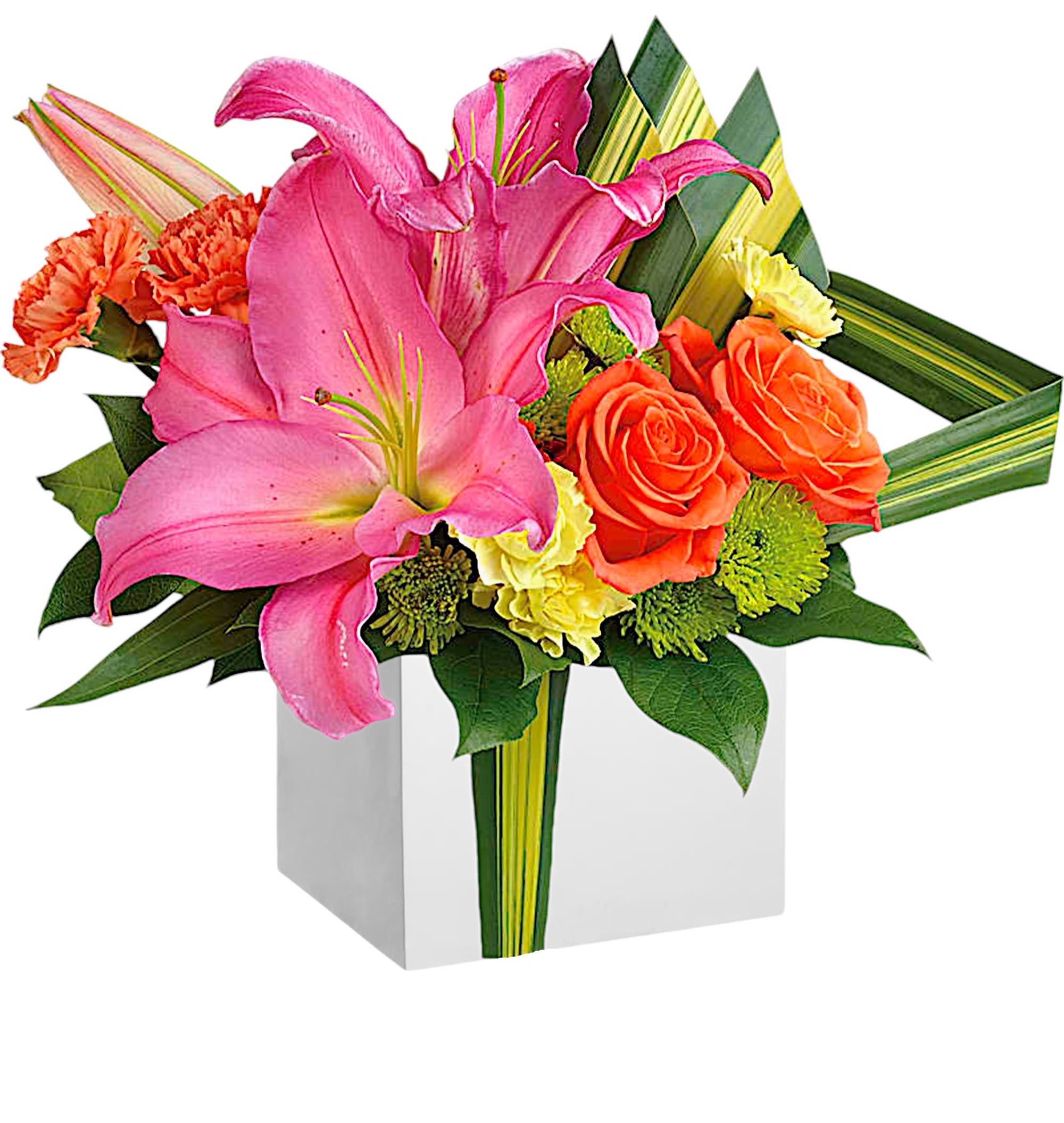 Color Me Cute - Color them happy when this cute cube arrives! Glorious pink lilies and orange roses get a modern, tropical twist with the addition of dramatic hala leaves. A bright touch for any occasion!  DETAILS Orange roses, hot pink oriental lilies, orange carnations, miniature yellow carnations, and green cushion spray chrysanthemums are accented with hala leaf and lemon leaf.  WOODEN CUBE INCLUDED Orientation: All-Around  Item #NF-286  FLORIST-TO-DOOR Same day flower delivery on most orders placed online by 12 pm or 10 am on weekends PST.  BLOOM DETAILS Roses Oriental Lilies Carnations Mini-Carnations Button-Mums Greenery  The Standard Arrangement is approx. 17 1/2&quot; H x 19 3/4&quot; W. The Deluxe Arrangement is approx. 18 1/2&quot; H x 20&quot; W. The Premium Arrangement is approx. 19 1/2&quot; H x 21 1/4&quot; W.  How to place an order? 1. You can place an order directly on this secure website OR 2. You can call in your order by dialing: (323) 262 - 9238 OR 3. You can visit our store (appointment recommended 323.262.9238)  NINFA'S FLOWERS 2405 WHITTIER BLVD. LOS ANGELES, CA. 90023  ATTENTION: *Please note that on busy holidays, Valentine's Day, and Mother's Day, we cannot verify if the recipient received the flowers until the following day. You can verify delivery on the website after 10:00 pm, call 323.262.9238 the following day after 10:00 am, or contact the recipient directly. Thank you for your patience and understanding. 
