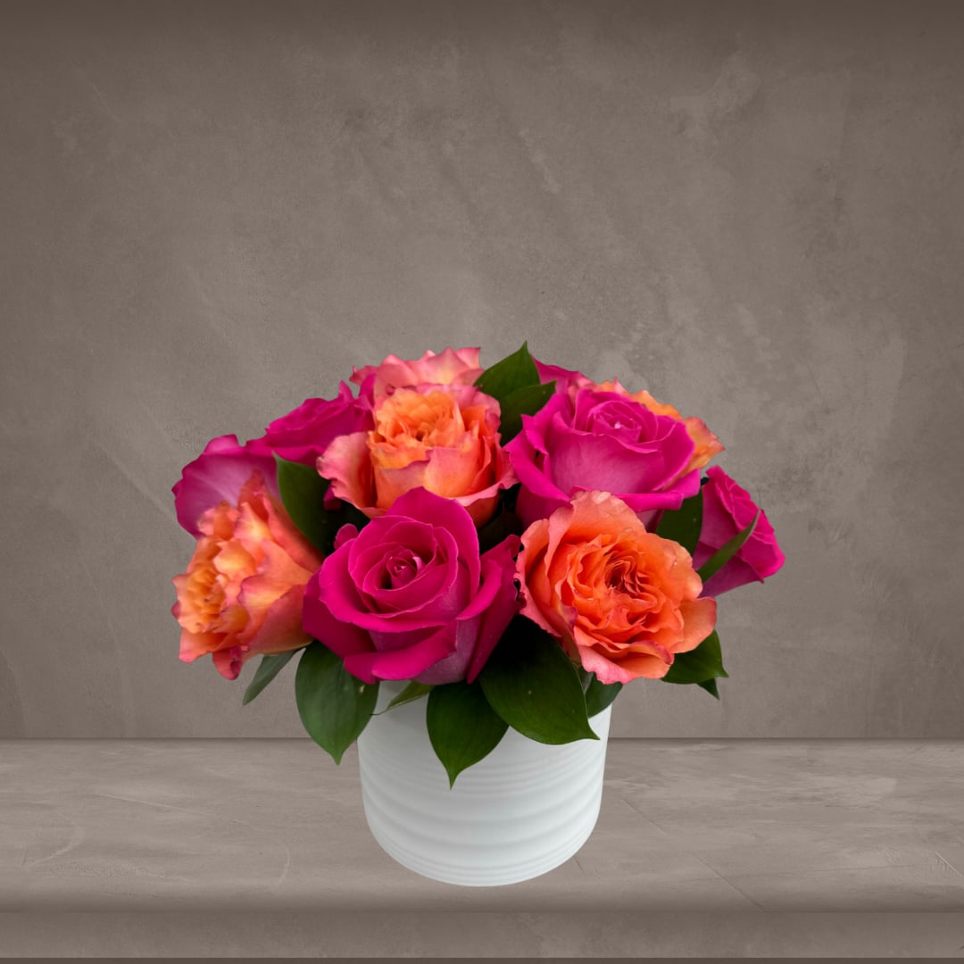 Orange + Hot Pink Luxe Roses in Peabody, MA Evans Flowers