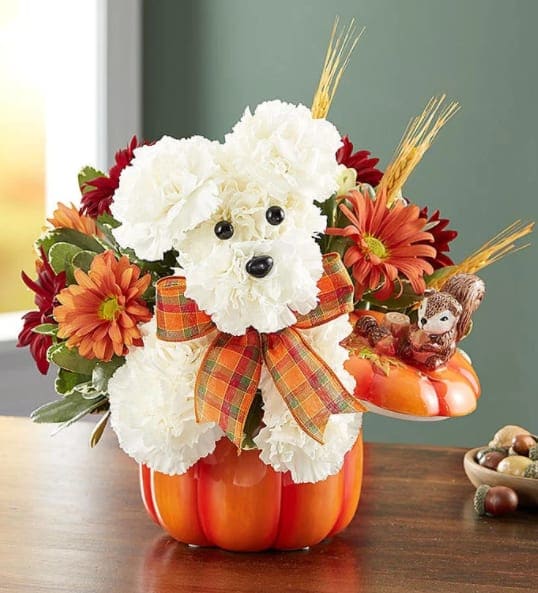 a-DOG-able for Fall - Our whimsical autumn arrangement is the pick of the pumpkin patch. A delightful pup created from fresh, white carnations with colorful blooms all around, he’s designed in our ceramic pumpkin container featuring a whimsical woodland squirrel perched atop the matching lid. Whether used for holding trinkets or as part of the décor, the artisan-style canister will add warmth and charm to their home year after year.