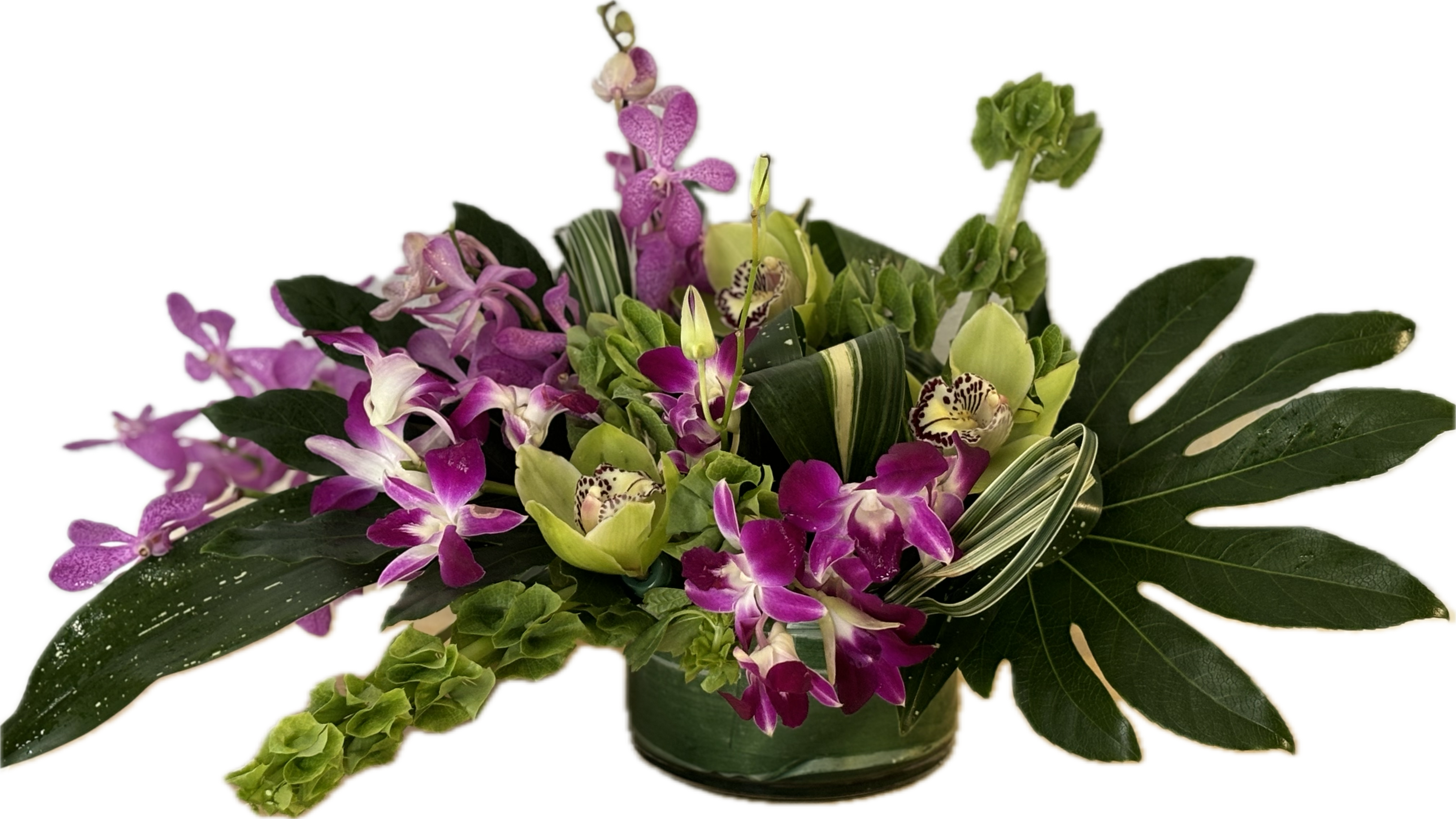 Tropical Passion Tropical Passion - Low cylinder with leaf wrap to include cymbidiums, dendrobium and mokara orchids. Lovely centerpiece