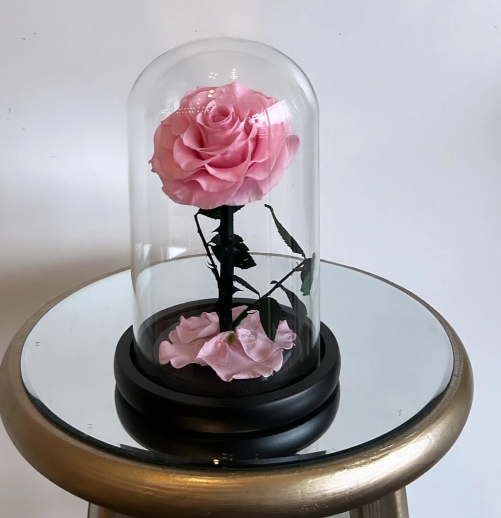 Artificial rose in glass dome on sale