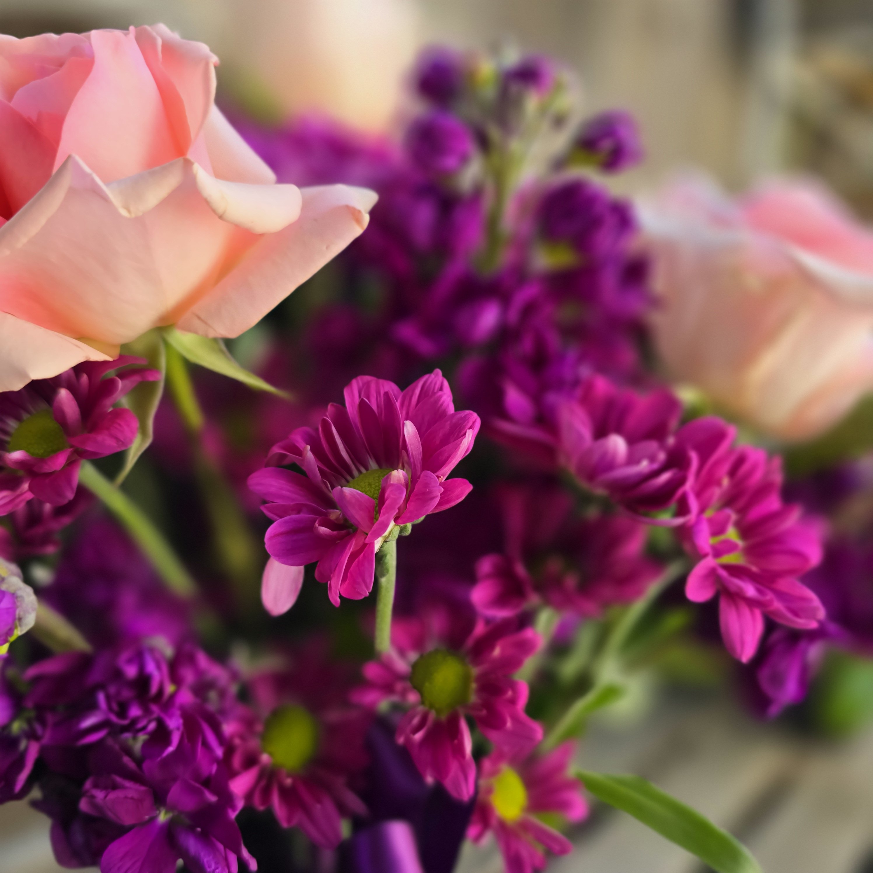 Designer's Choice - Need something for your loved one?  Let our talented Floral Designer Assist you get something beautiful made and delivered today! Our Designer will select the best in stock season Florals for you and design something gorgeous in your price range. With close attention to your occasion type we will select from our seasonal stock an appropriate color and style for your loved one. Please enjoy the gallery below of our previous Designer's Choice arrangements