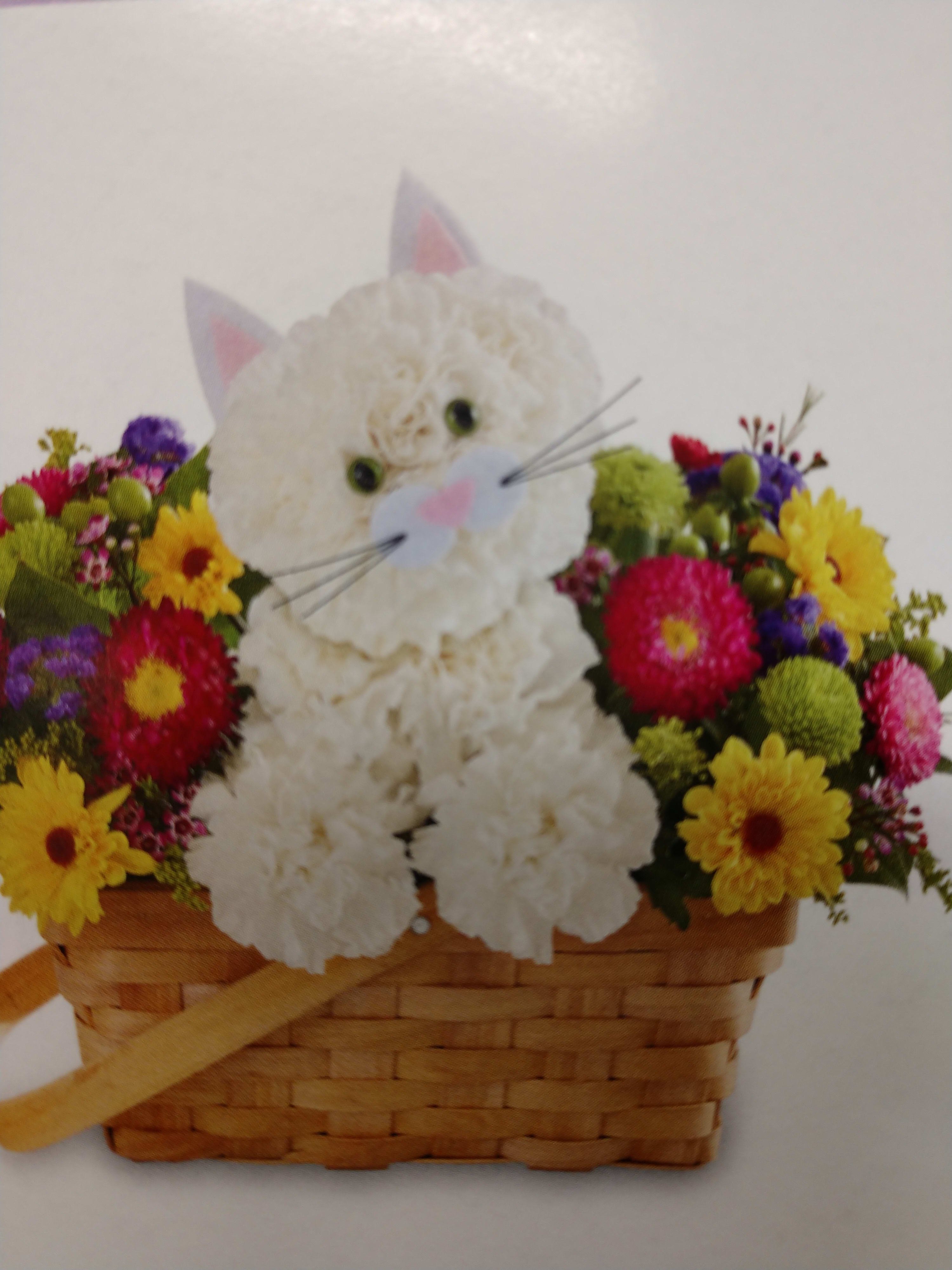 Kitty Makes You Smile - Our Kitty  design is  made of White Carnation  ( color can be changed )  with many other designer choice flowers.
