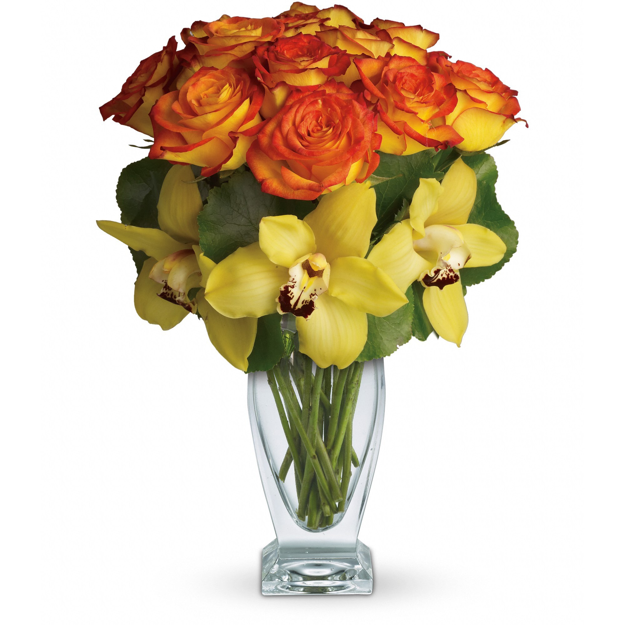 Teleflora's Aloha Sunset  - Aloha is a celebration of joy, gratitude and being in the present. Lovely orchids celebrate the spirit of aloha, especially when mixed with gorgeous roses evocative of a Hawaiian sunset.    This stunning arrangement has it all. Beautiful yellow cymbidium orchids, brilliant bi-color roses and tropical leaves all hand-delivered in a striking Couture Vase. It's definitely a departure from the everyday!    Approximately 11 1/2&quot; W x 15&quot; H    Orientation: All-Around        As Shown : T73-1A      Deluxe : T73-1B      Premium : T73-1C    