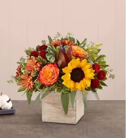 Harver Fall  - The color and charm of an autumn country harvest inspired our farmhouse-style bouquet. A loose, natural gathering of blooms in vibrant shades of red, orange and yellow creates the perfect complement to our rustic, grey-washed wooden cube. With its soft tones and natural textures, it’s an ideal container for flowers and plants, adding warm and coziness to any fall décor.