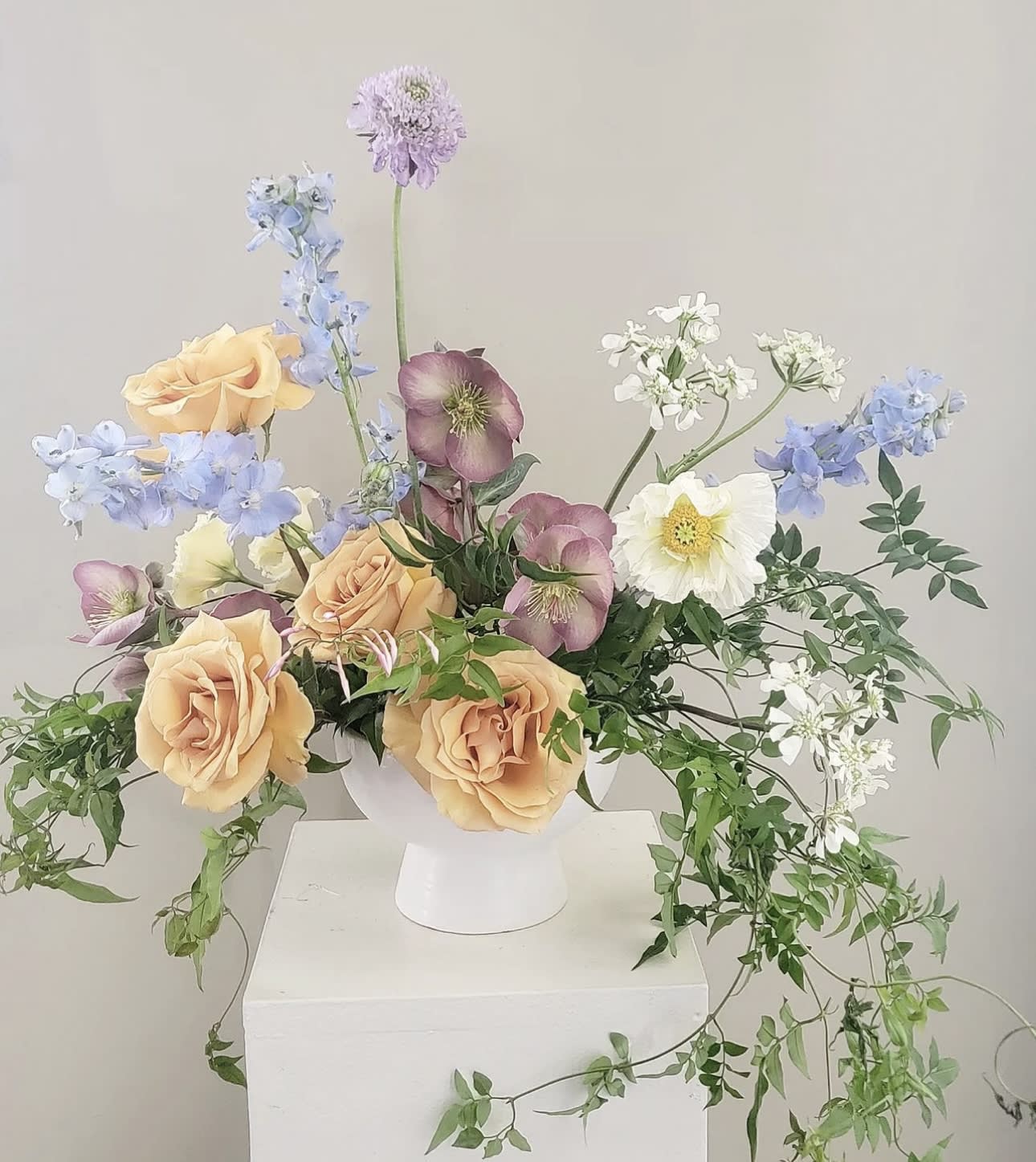 Modern designers choice Modern designers choice - Designers choice arrangement using fresh seasonal hand picked market flowers. Minimal modern style. Flower type and color will vary depending on availability.