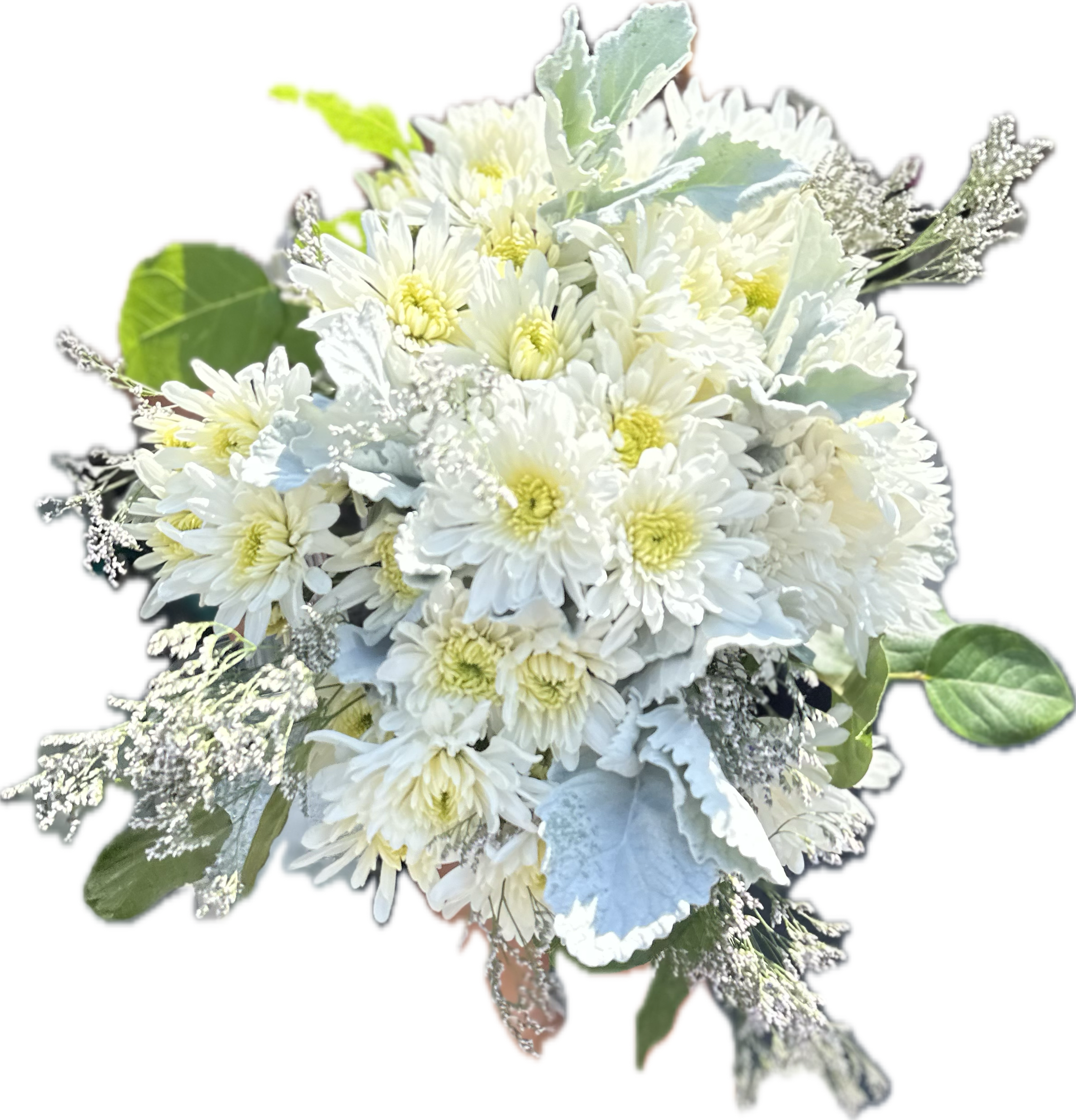 Daisy Dreams Daisy Dreams - "Embodying elegance and simplicity, this white daisy bouquet brings a fresh, natural charm to any space. The pure white petals, accented by a hint of greenery, create a timeless and graceful arrangement perfect for any occasion. Symbolizing new beginnings, these daisies offer a soft, uplifting beauty that brightens any setting.