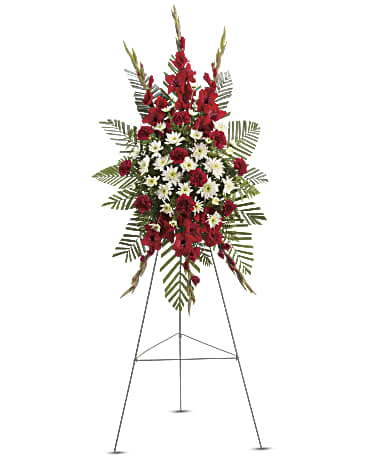 Strength & Solace Spray Strength & Solace Spray - A beautiful complement to the memorial service, this gorgeous spray of red and white floral favorites will be deeply appreciated by the family during their time of loss. The magnificent spray includes red gladioli, red carnations and white cushion spray chrysanthemums, accented with emerald palm and leatherleaf fern.
