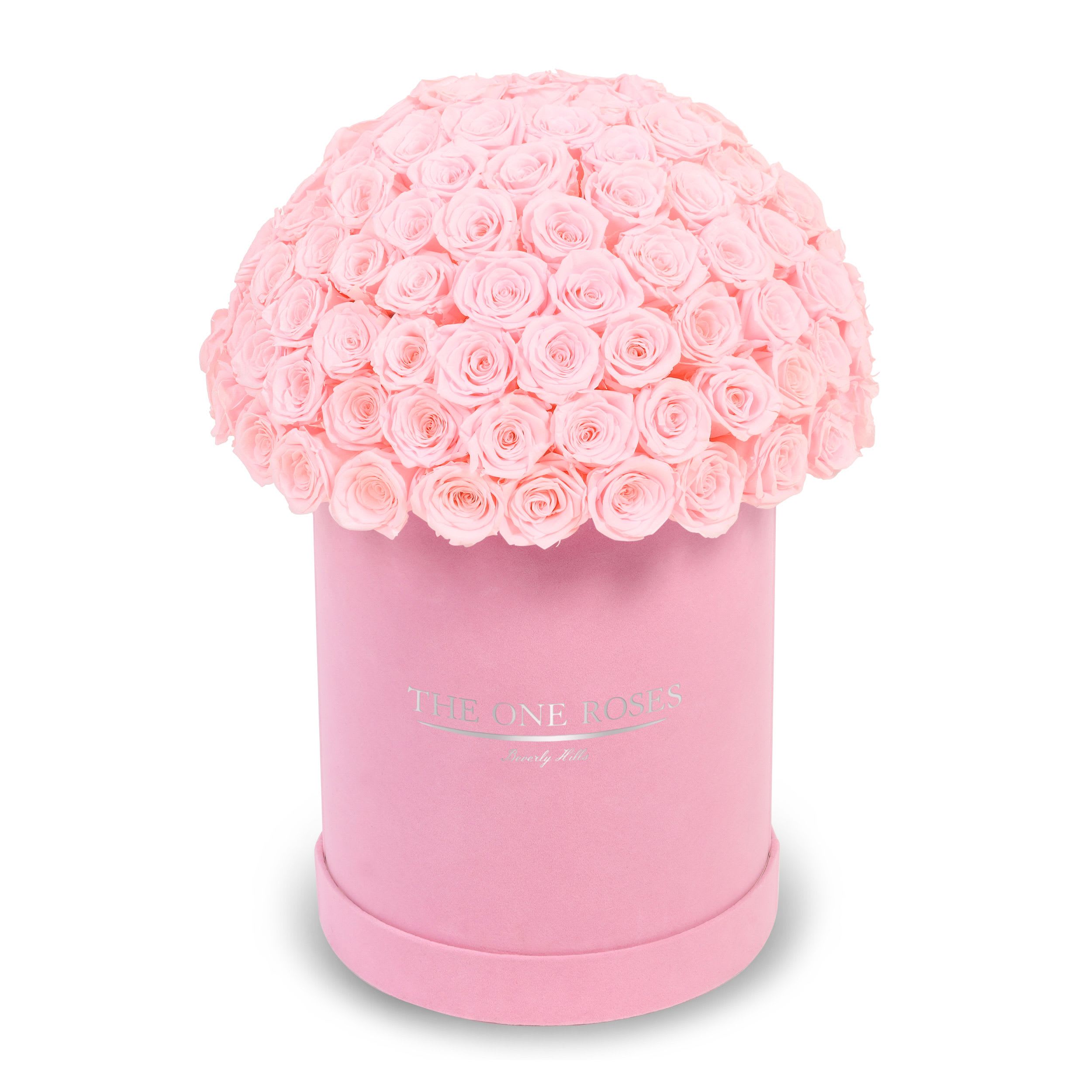 Suede Dome Deluxe | Premium Pink Box Fairy Tale Pink Suede Dome Deluxe | Premium Pink Box Fairy Tale Pink - The One Roses “Suede Collection“ consists of unique, real preserved roses in premium round handcrafted luxury pink suede box with a top.  With about 100 stems of The One long lasting (med size) real preserved roses.  THE ONE ROSES - Declaration of Love Durability: approx. 1-3 years.